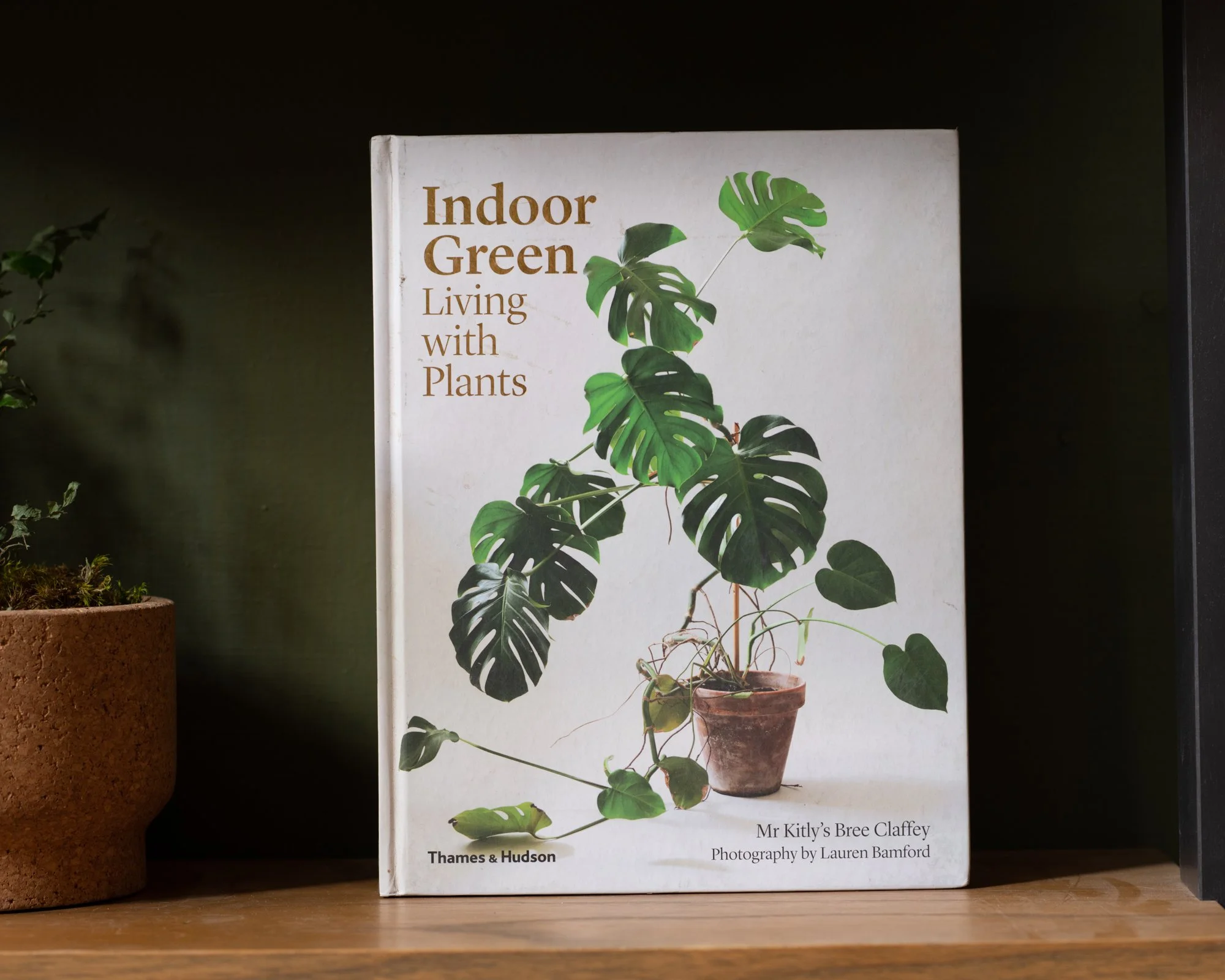 Indoor Green.jpg