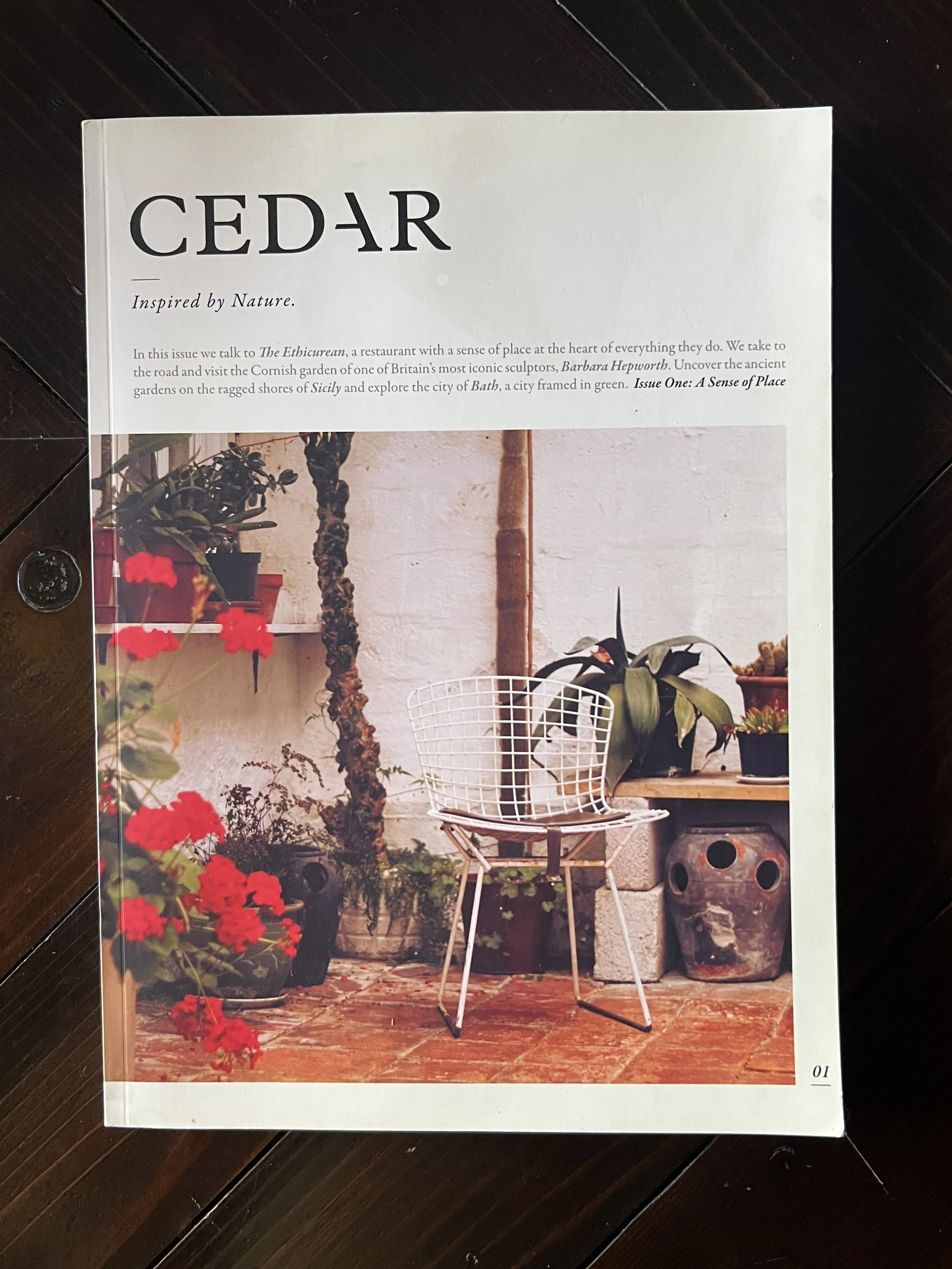 Cedar Magazine vol. 1