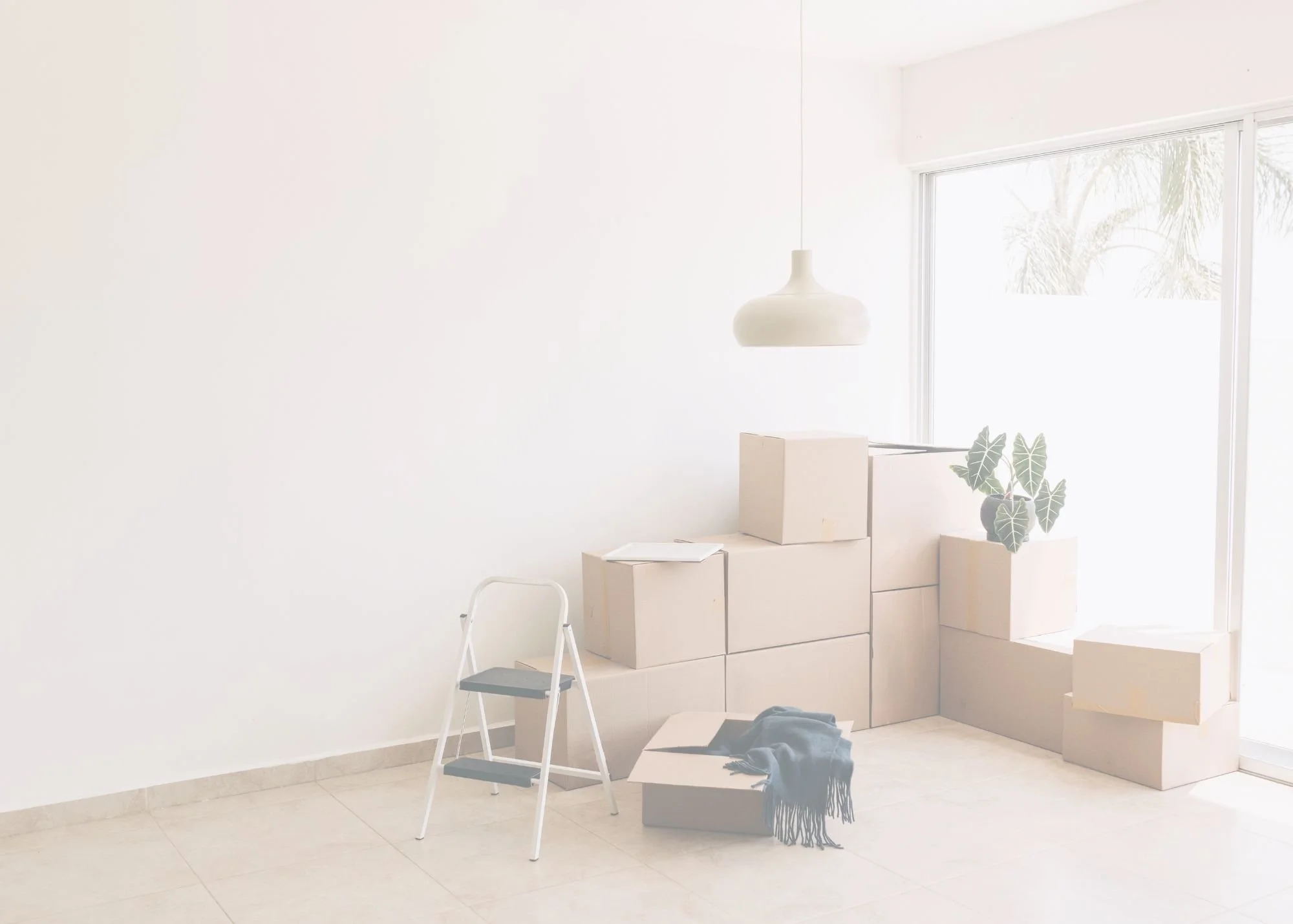 A nearly empty room with cardboard boxes stacked near a window, a folding step stool, a plant, a box with a blanket inside, and a hanging pendant light.