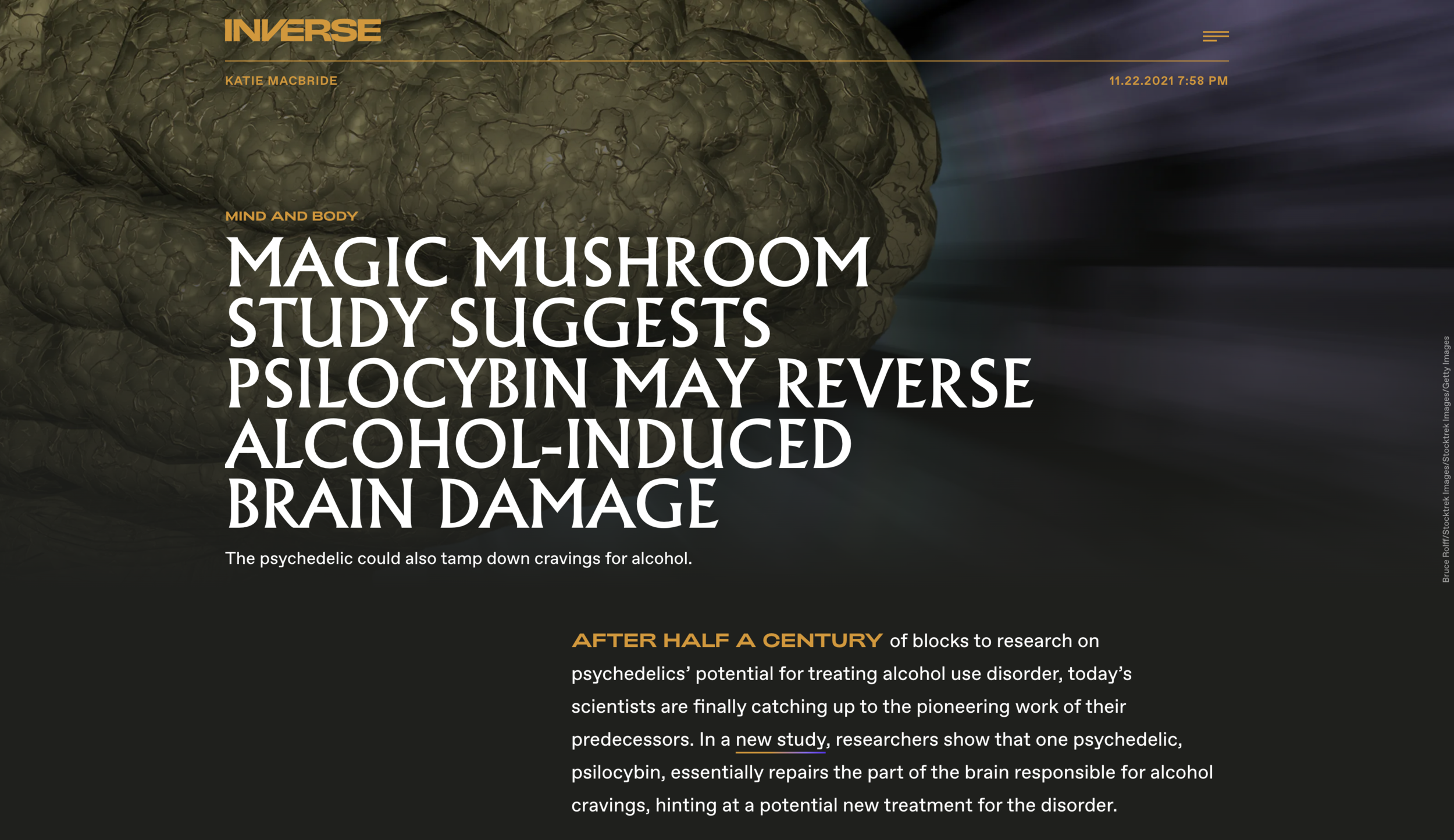 Magic Mushroom study suggests Psilocybin may reverse alcohol-induced brain damage
