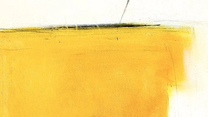 THE STORY OF THE LIGHT AND THE YELLOW BUTTERFLY