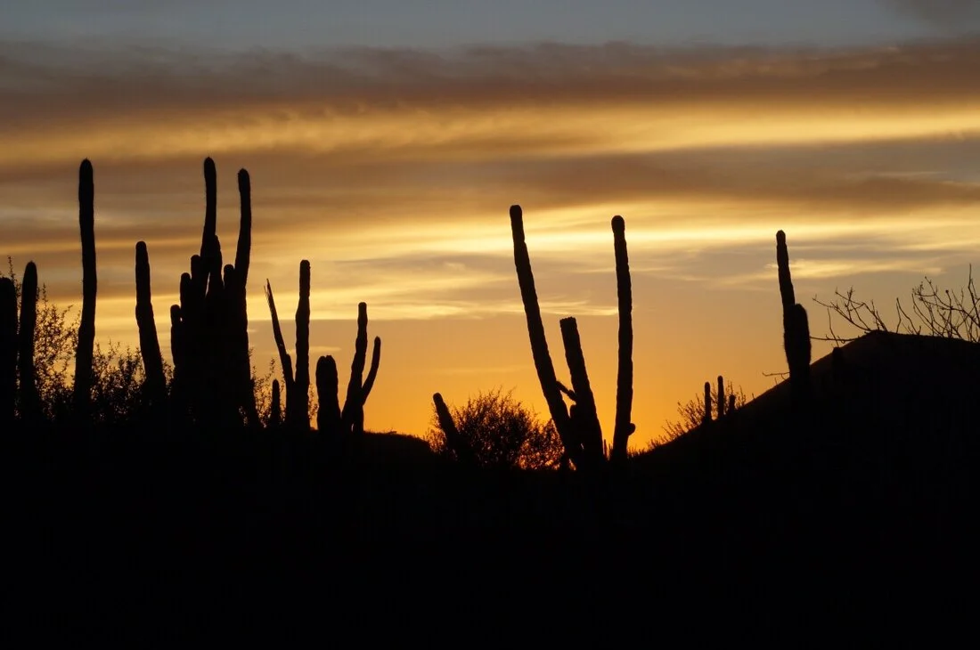 BAJA DIVIDE 8: Coast to Coast