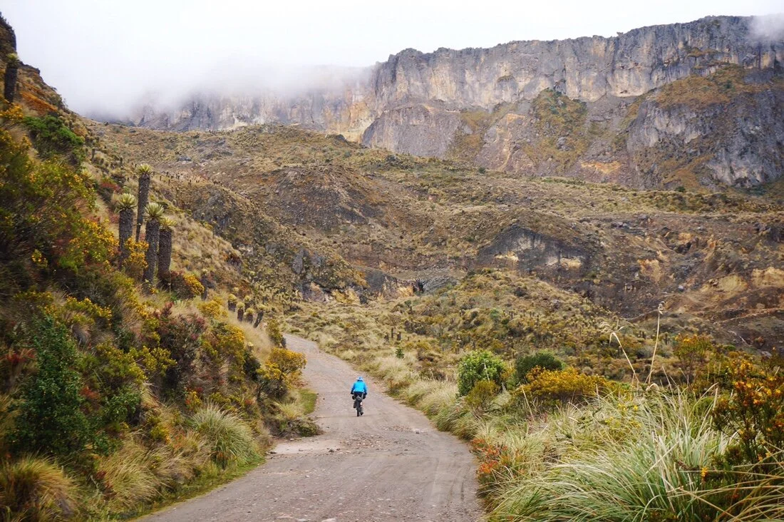 Colombia 2: Mountainscapes &amp; Wax Palms