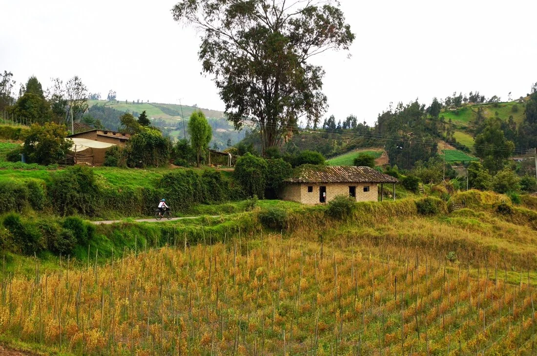 Colombia 6: La Frontera