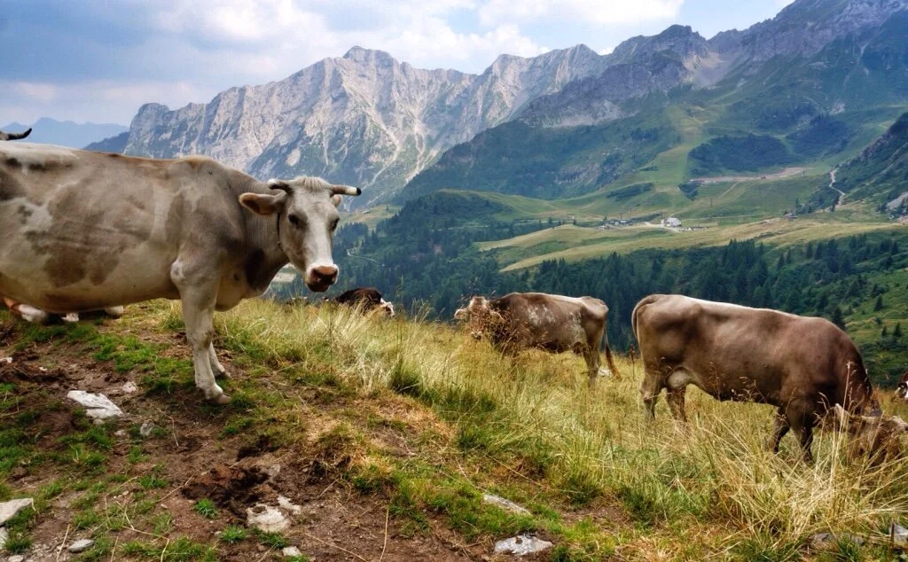 Italy 1: Senterio delle Orobie Occidentali