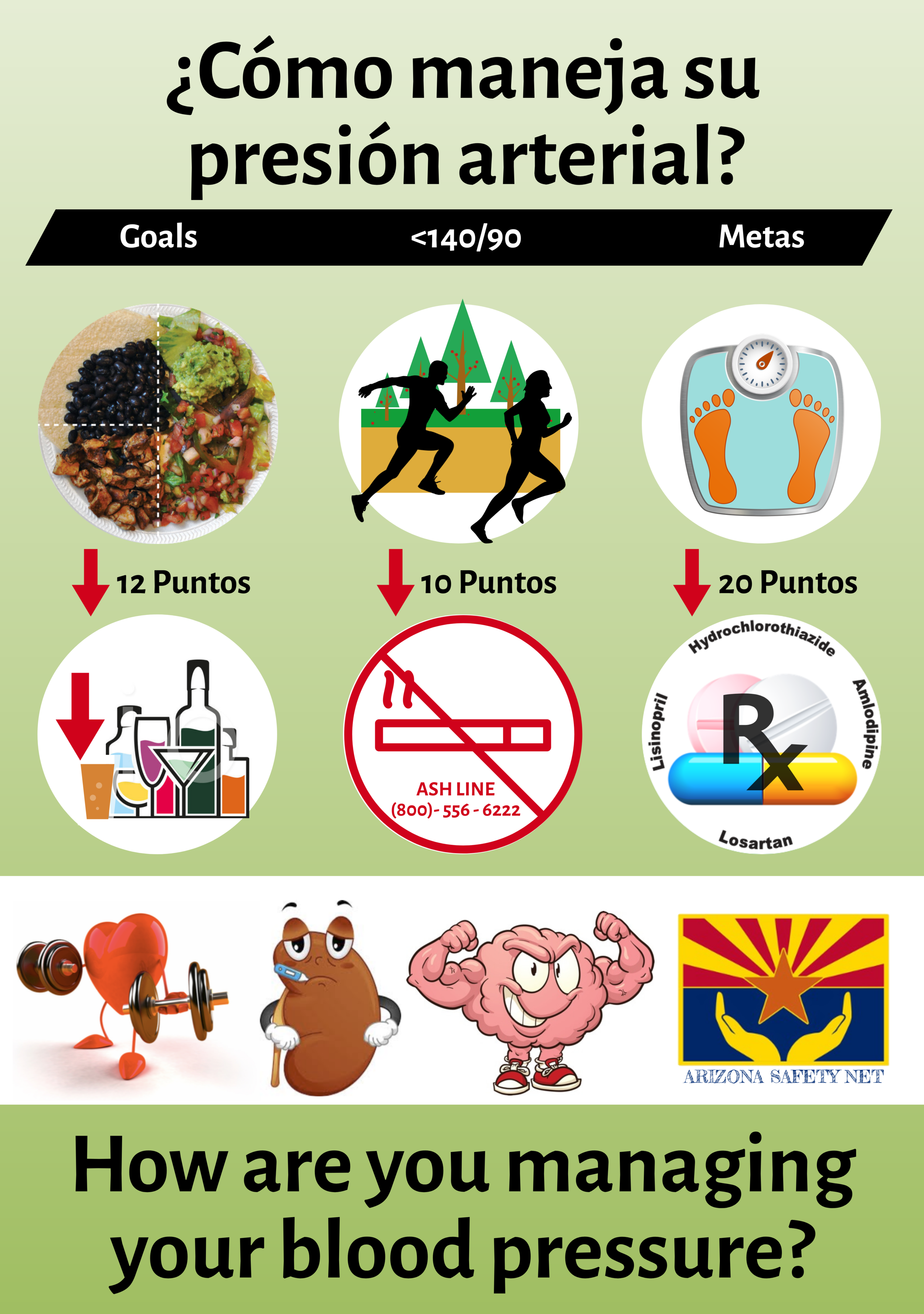 Bp Infograph Bp Infographic Video