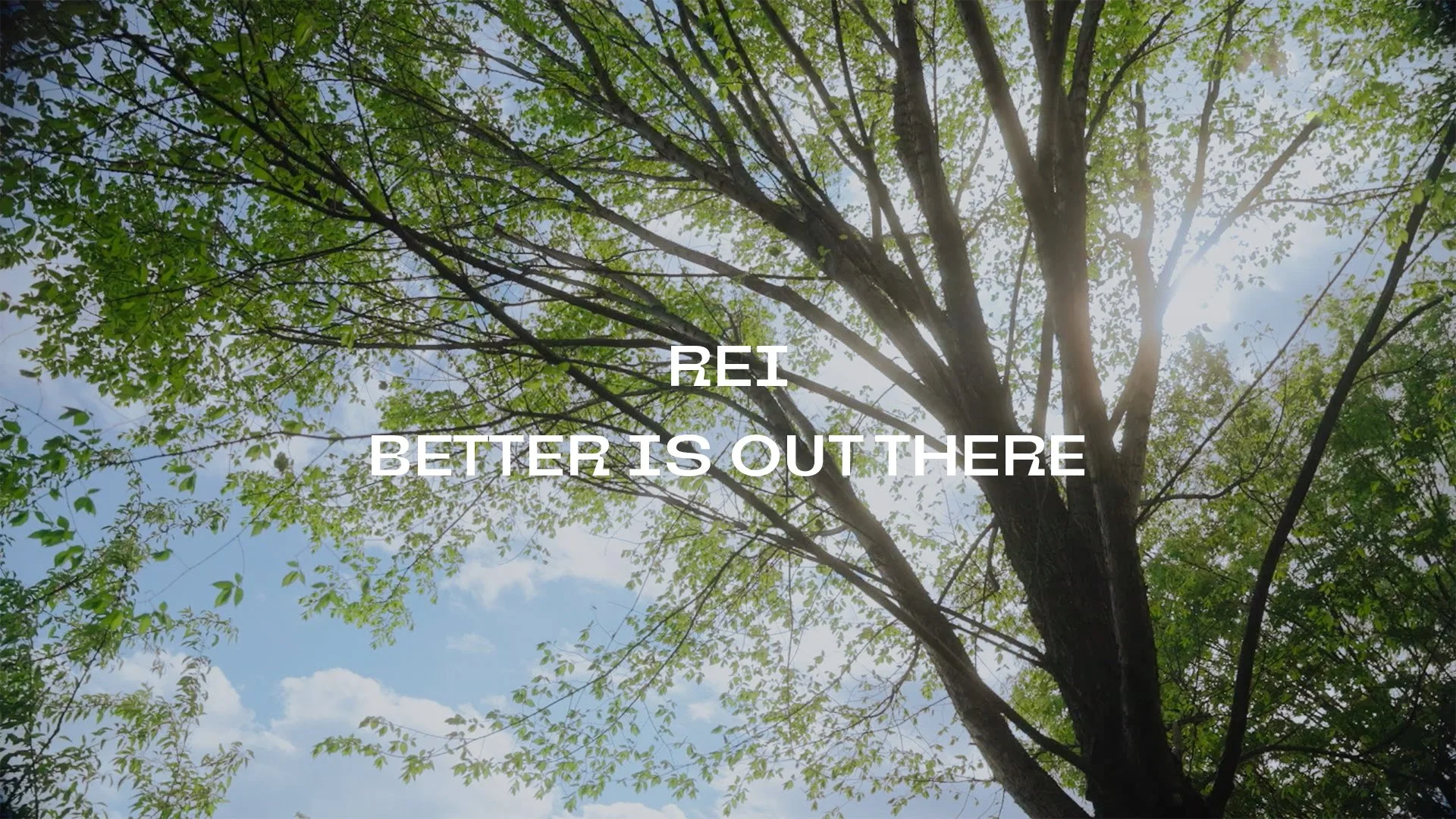 REI_Better Is Out There_text_cover.jpg