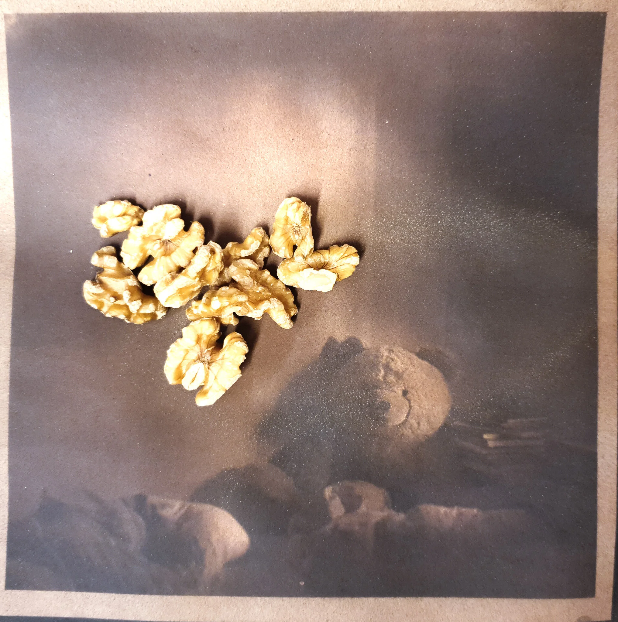 Cyanotypes can be toned in a wide range of liquids and will take on different tones. Tannic acid is a popular one, but one can go crazy with less scientific approaches like beer, wine, soaking water from nuts or even berry juice. Any high tannin liq…