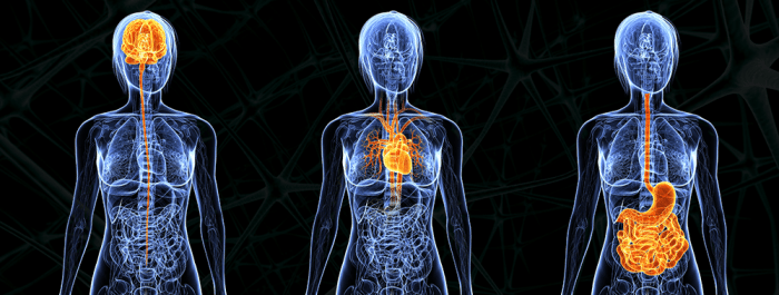 Neuroplasticity: You can change your brain