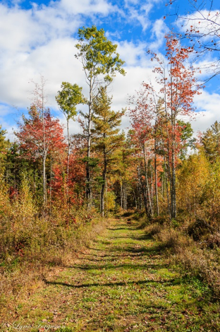 Renew, Reaffirm and Nourish