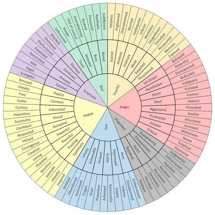 Wheel of emotios.jpg