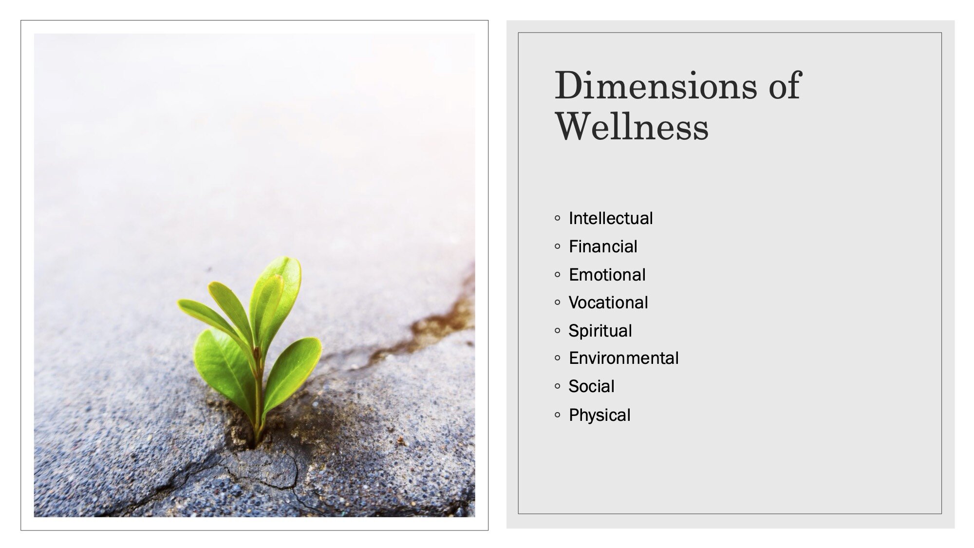 dimensions of wellness.jpg