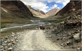 Kailash Kora.jpg