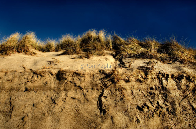 DUNE AND SKY – GLENEDEN BEACH – OREGON