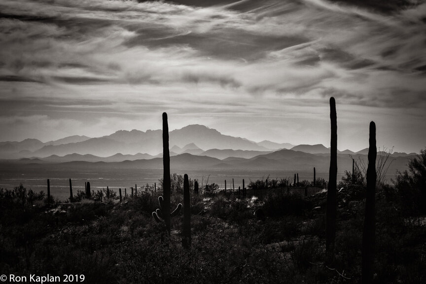 Tucson2019-5.jpg