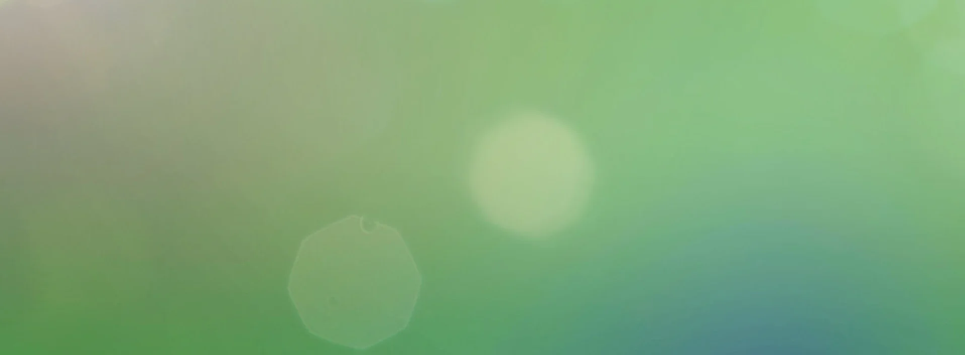 Home page image - green background.jpeg