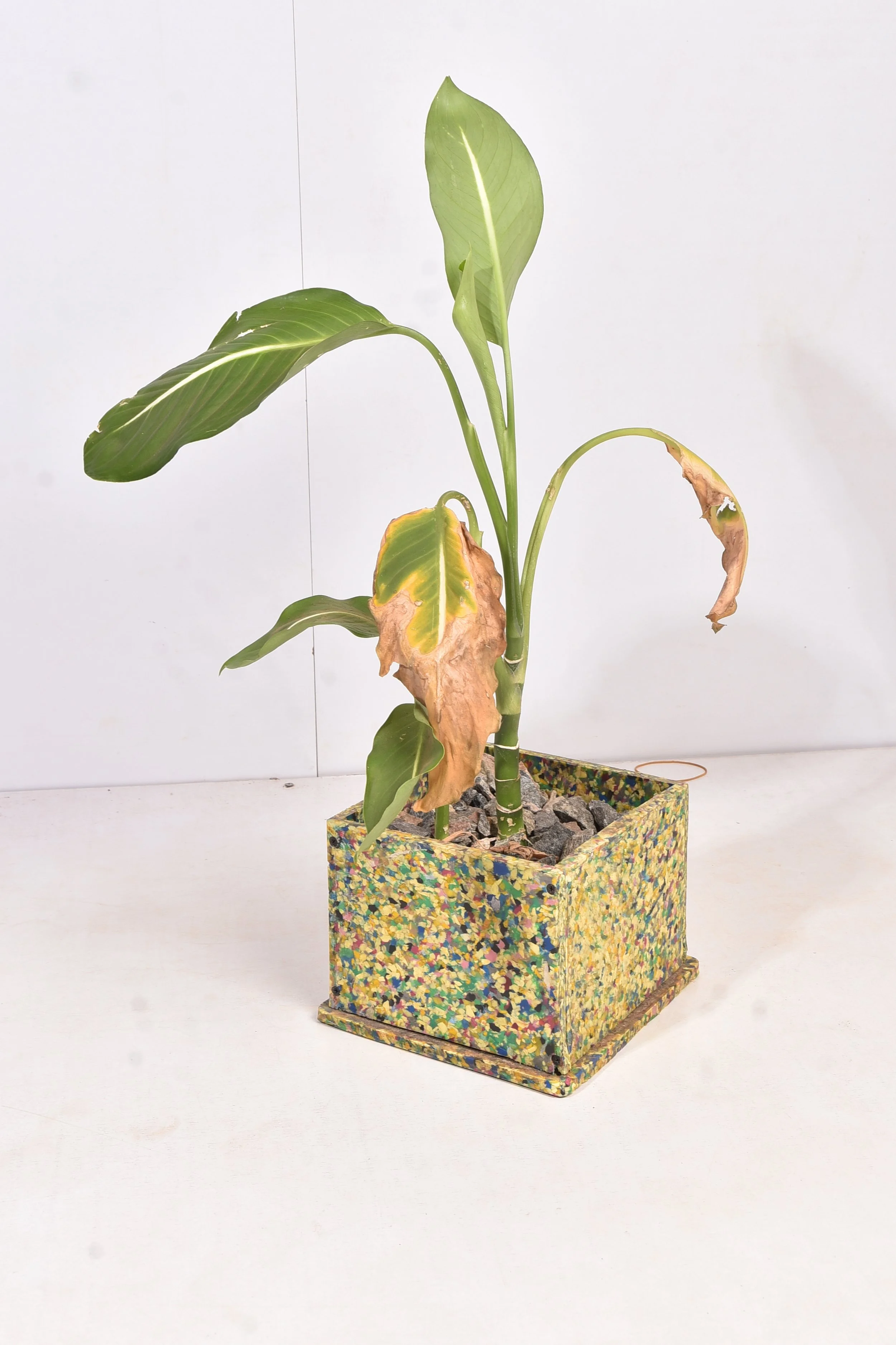 TakaPot is our line of eco-friendly flower pots made from recycled hard plastics. These pots are not only durable and long-lasting but also sustainable, as they help reduce plastic waste. 