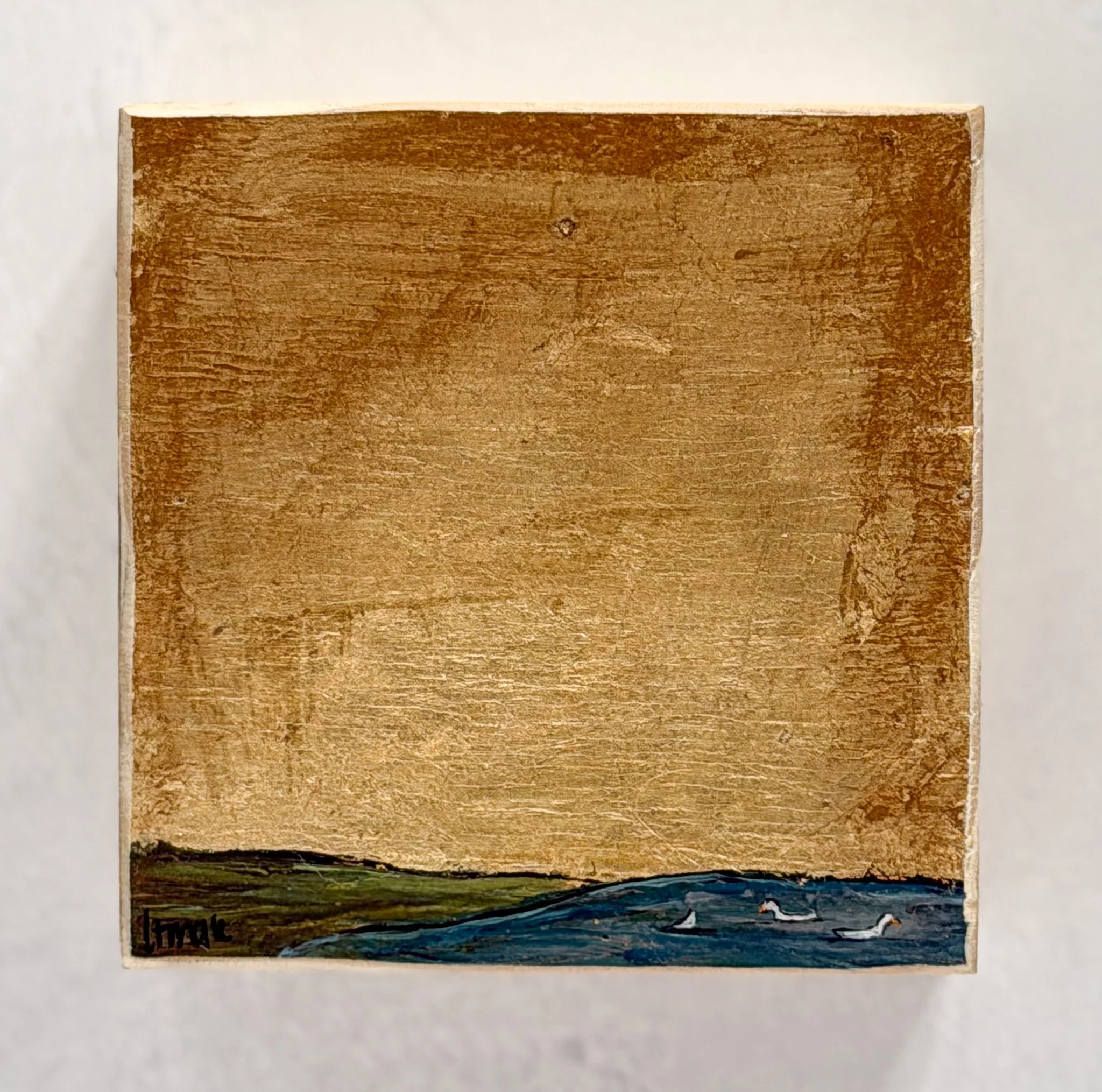 Sweet little duck flock