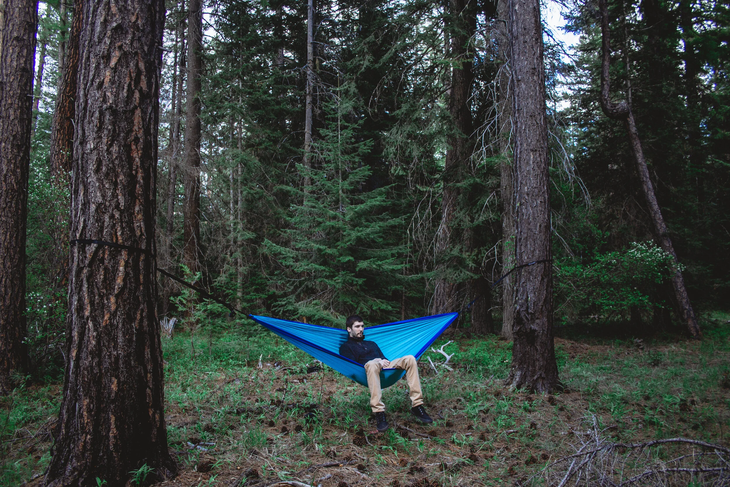 Madera Outdoor
