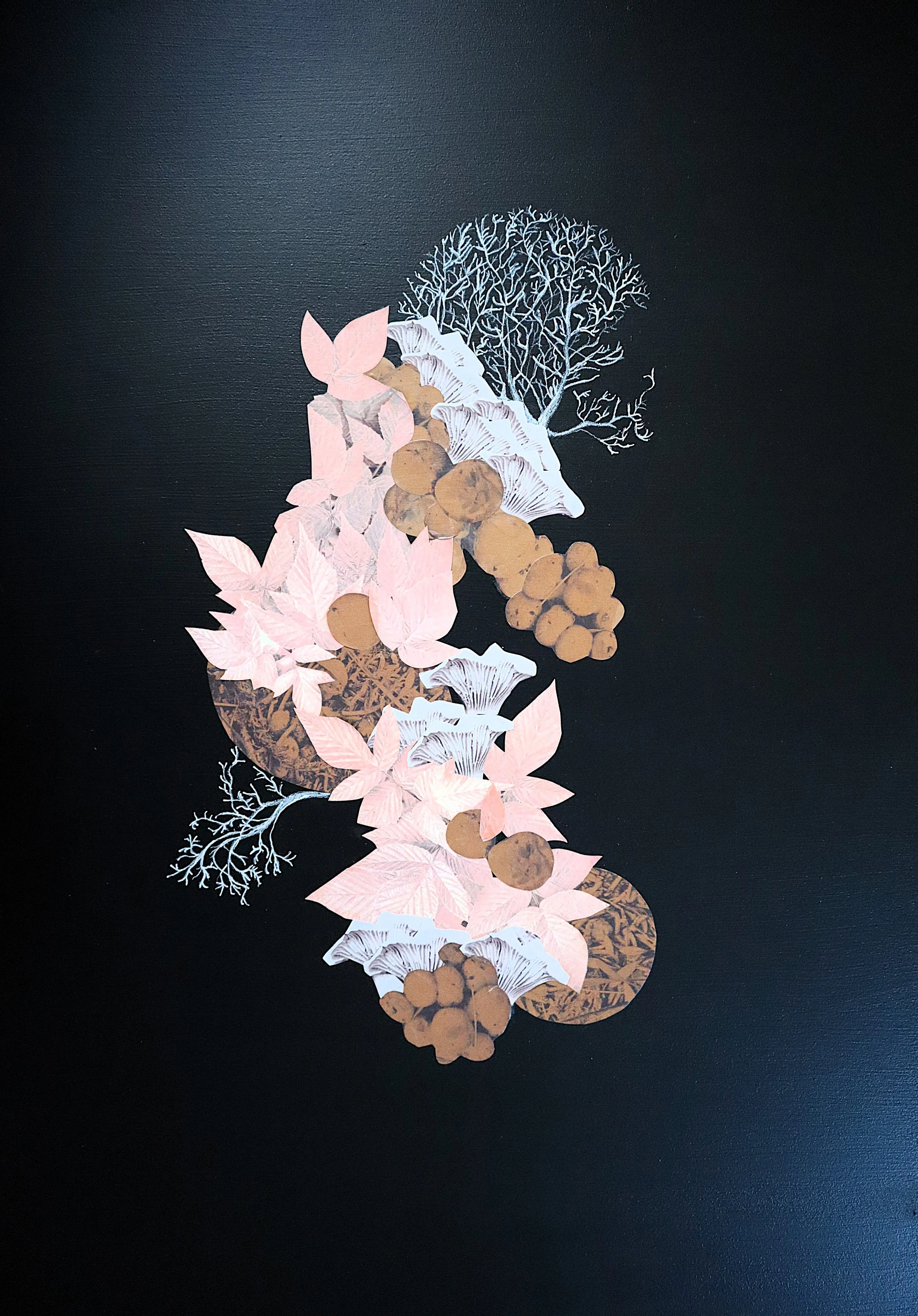 Sanctuaire des natures mortes 2.JPG