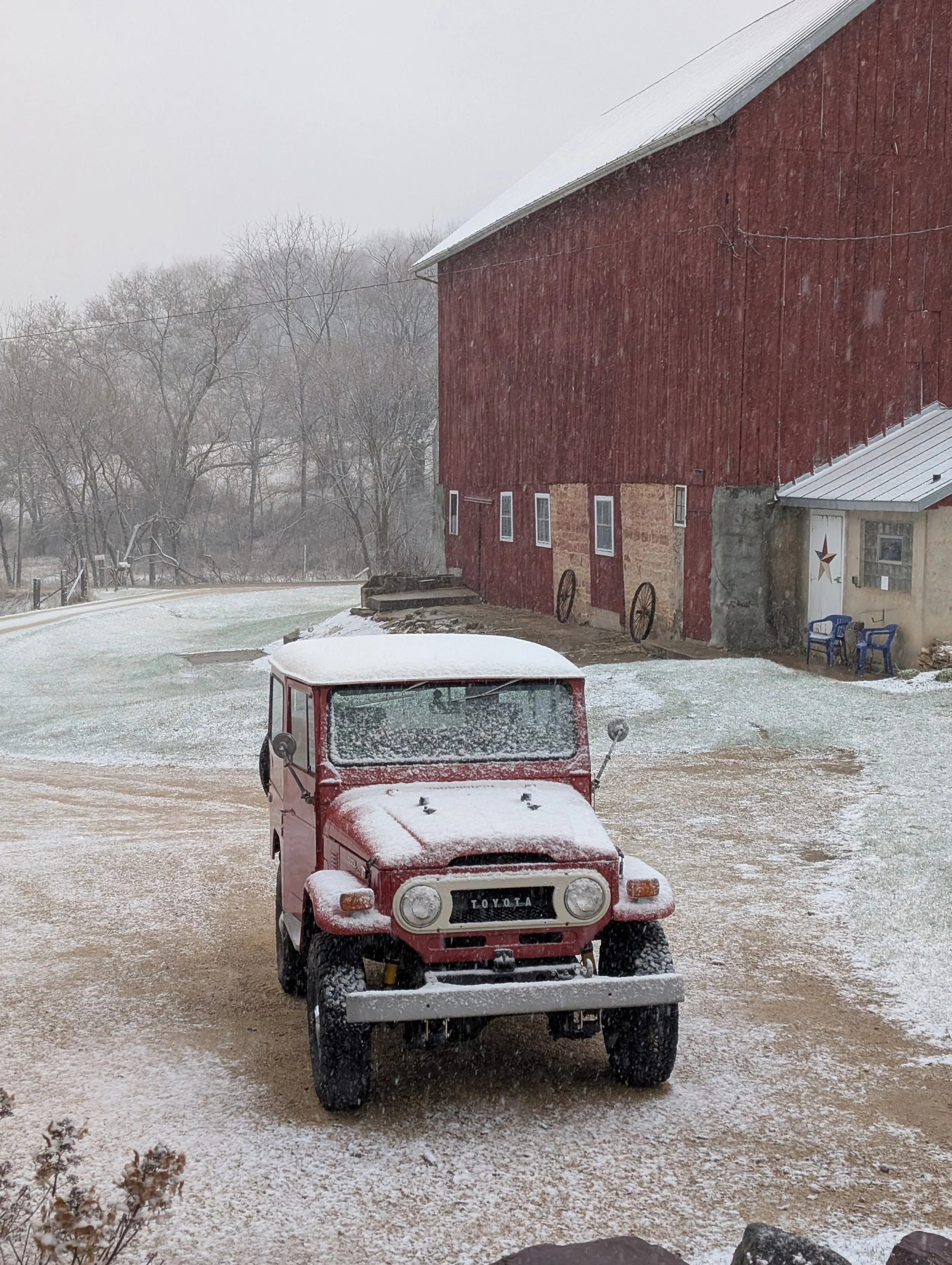 Snowy Scene