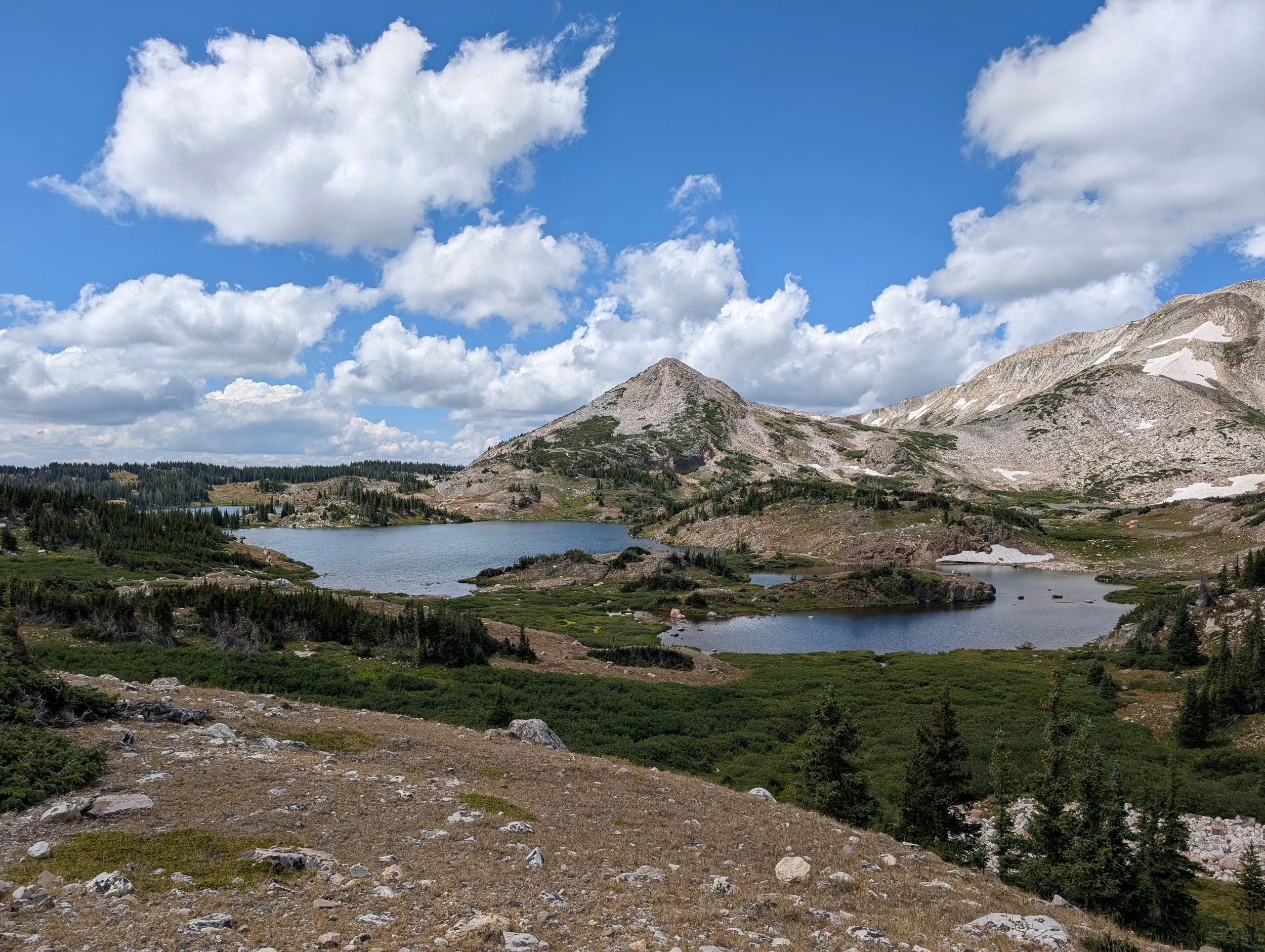 Medicine Bow National Forest