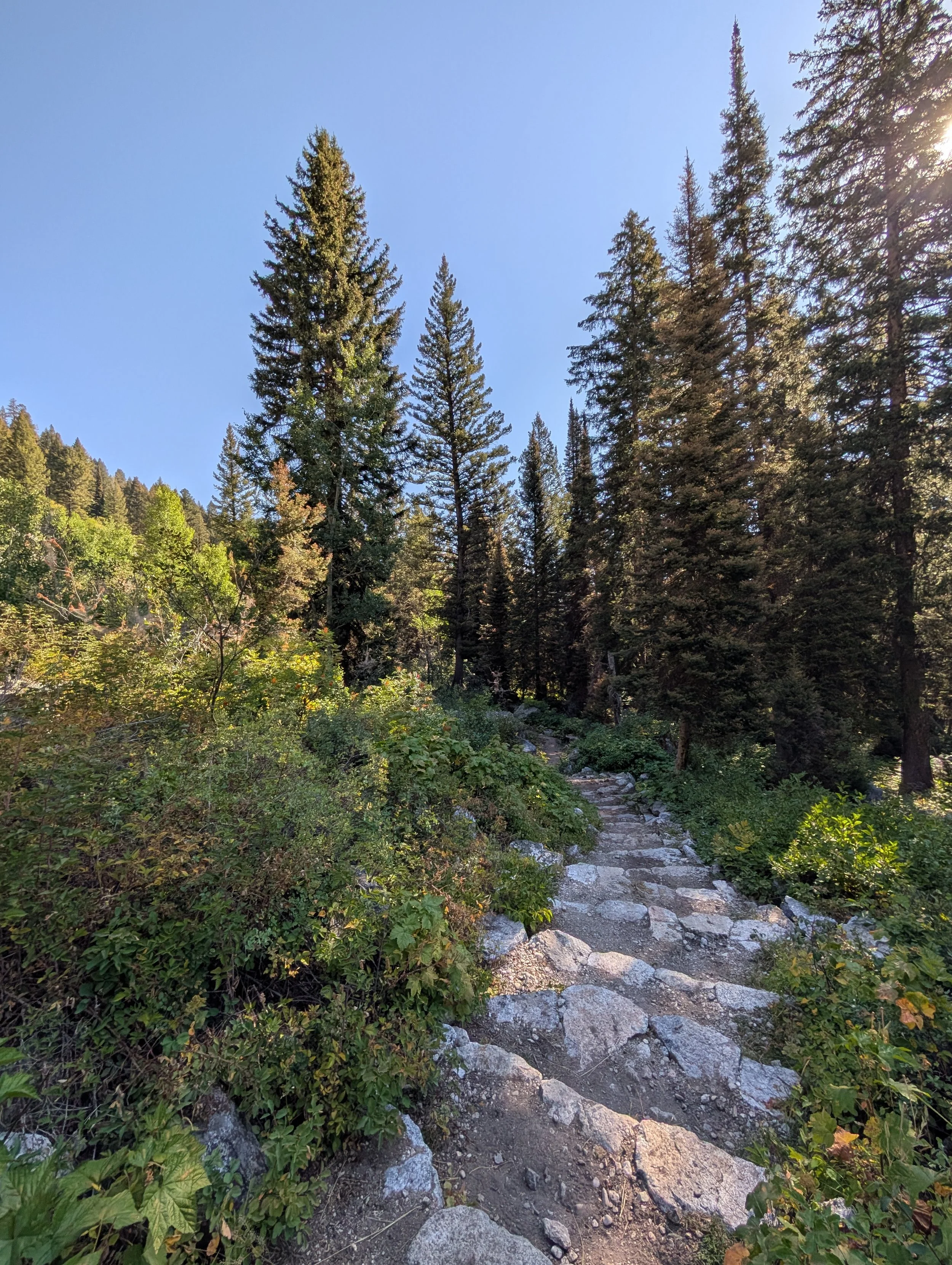 PXL_20250823_160022494.jpg