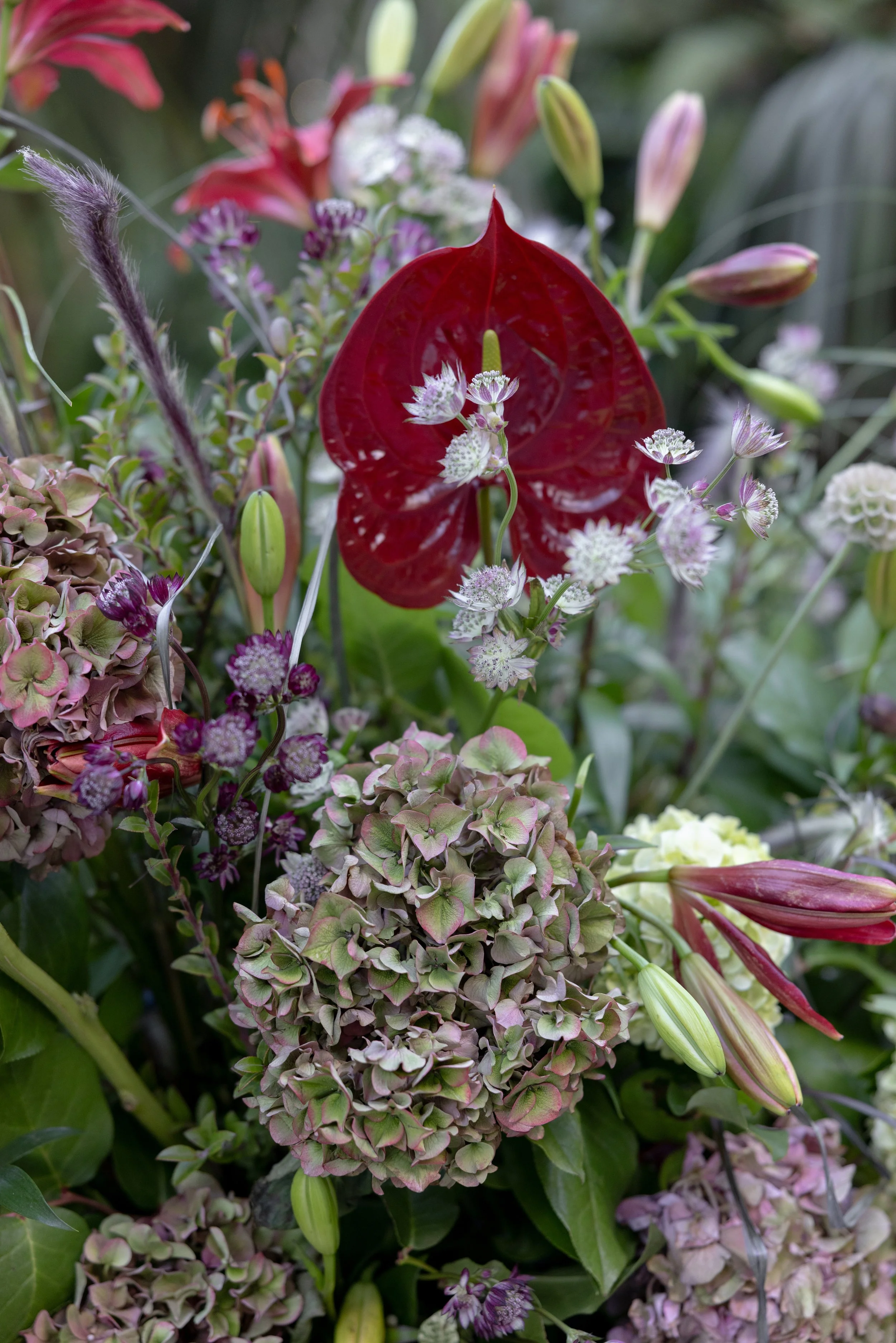 I'm looking for a florist in Miami that designs romantic and delicate floral arrangements for weddings. 