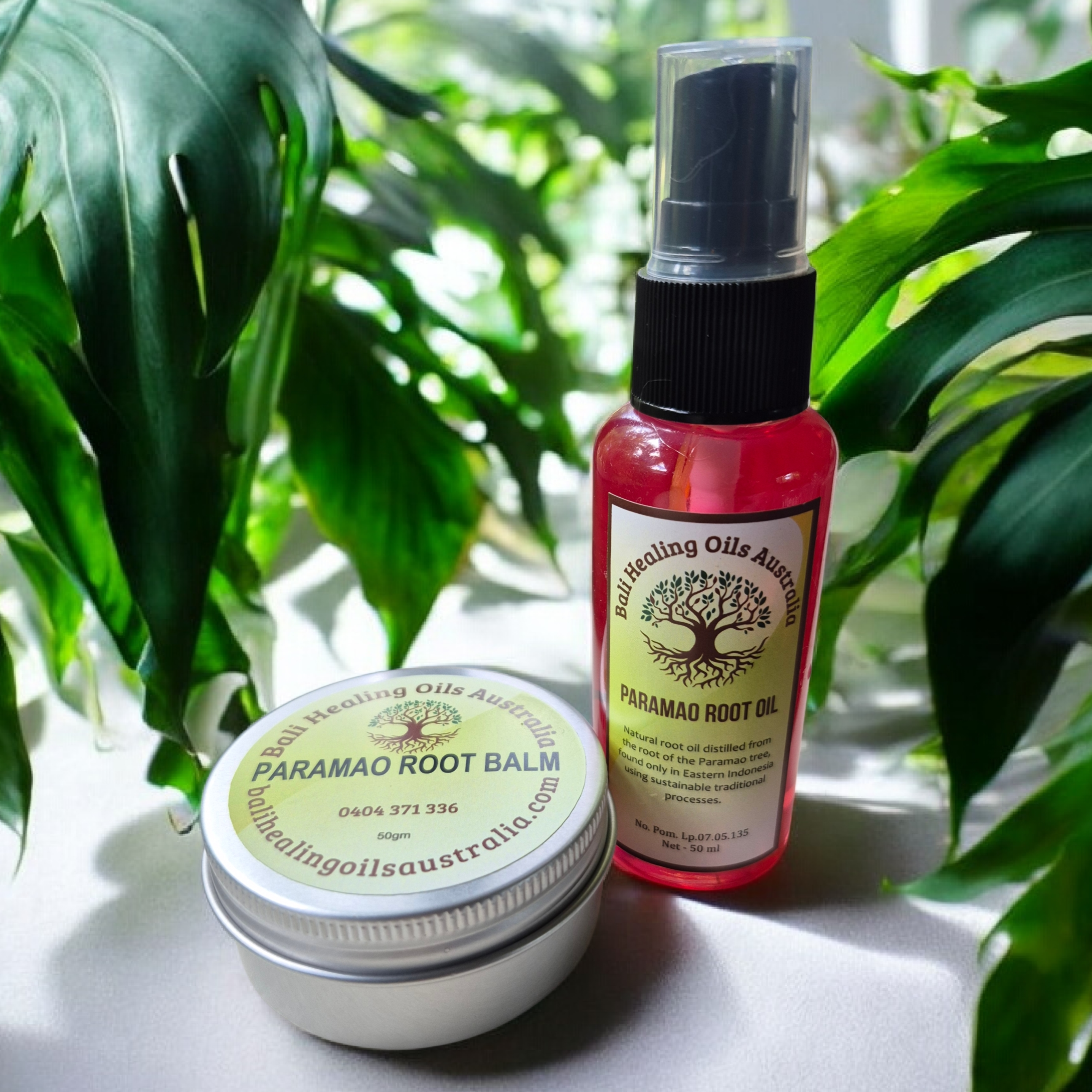 20260221_111832 (2).png