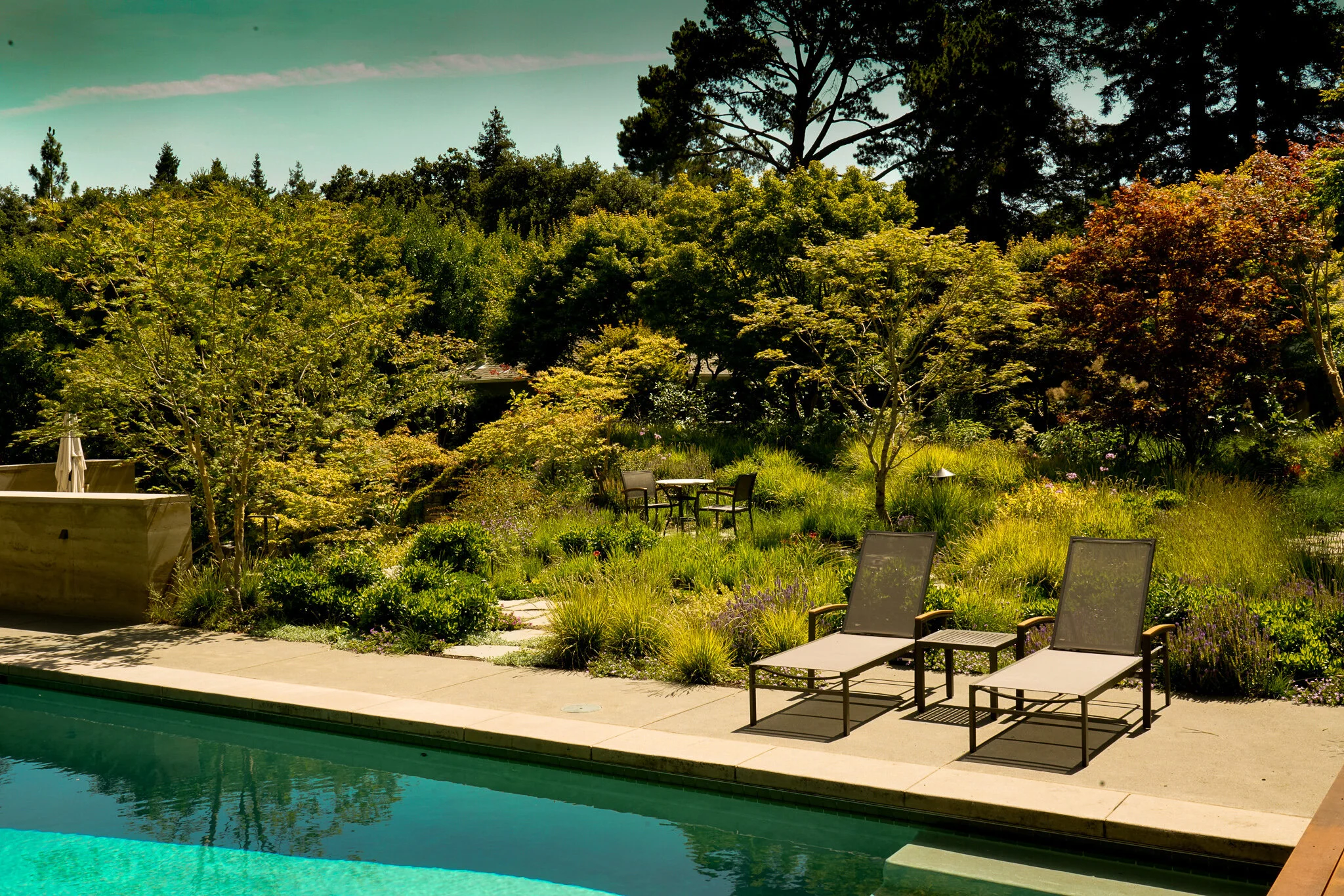 meadow above the wine cellar