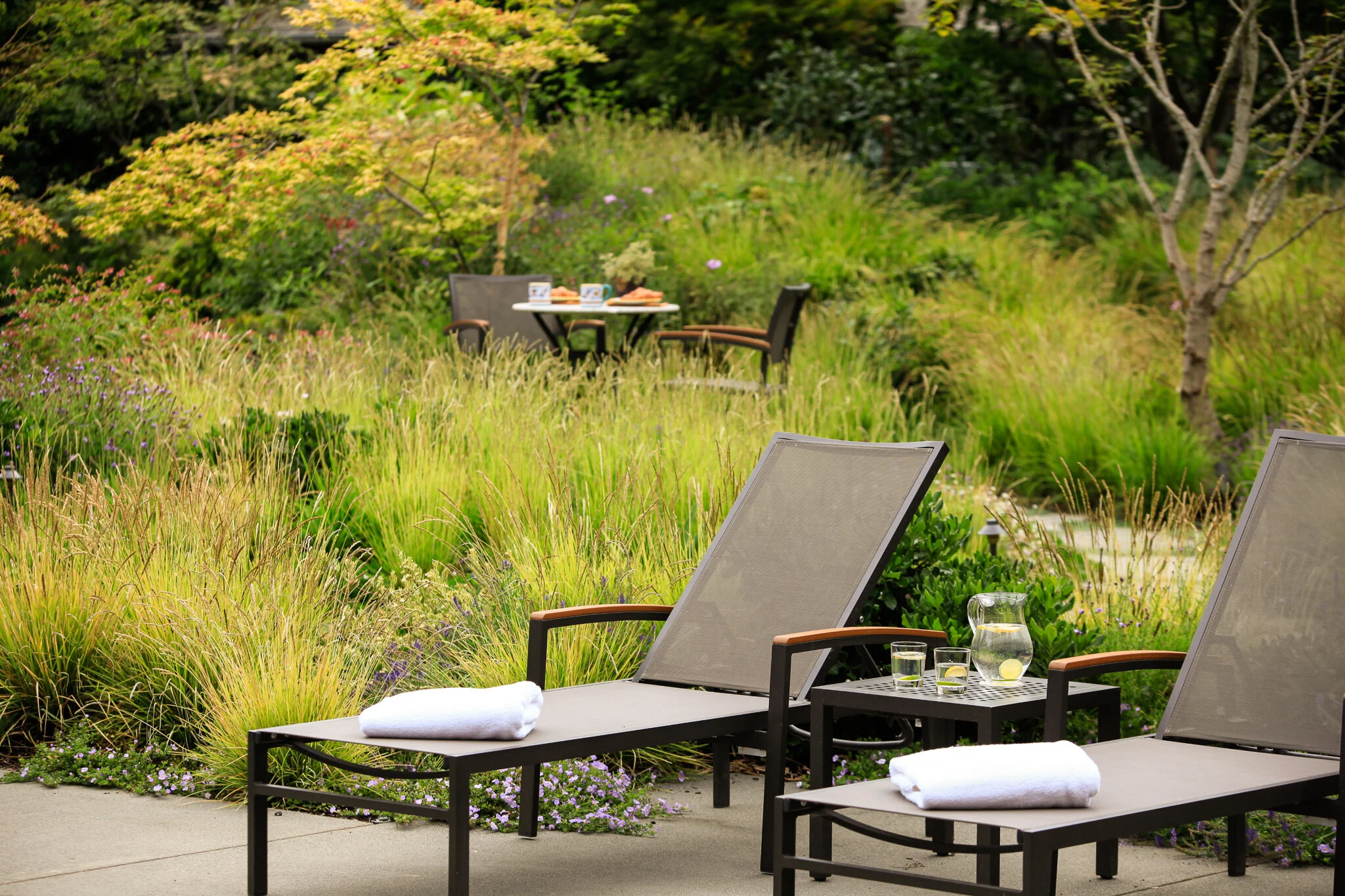 pool lounge chairs and meadow