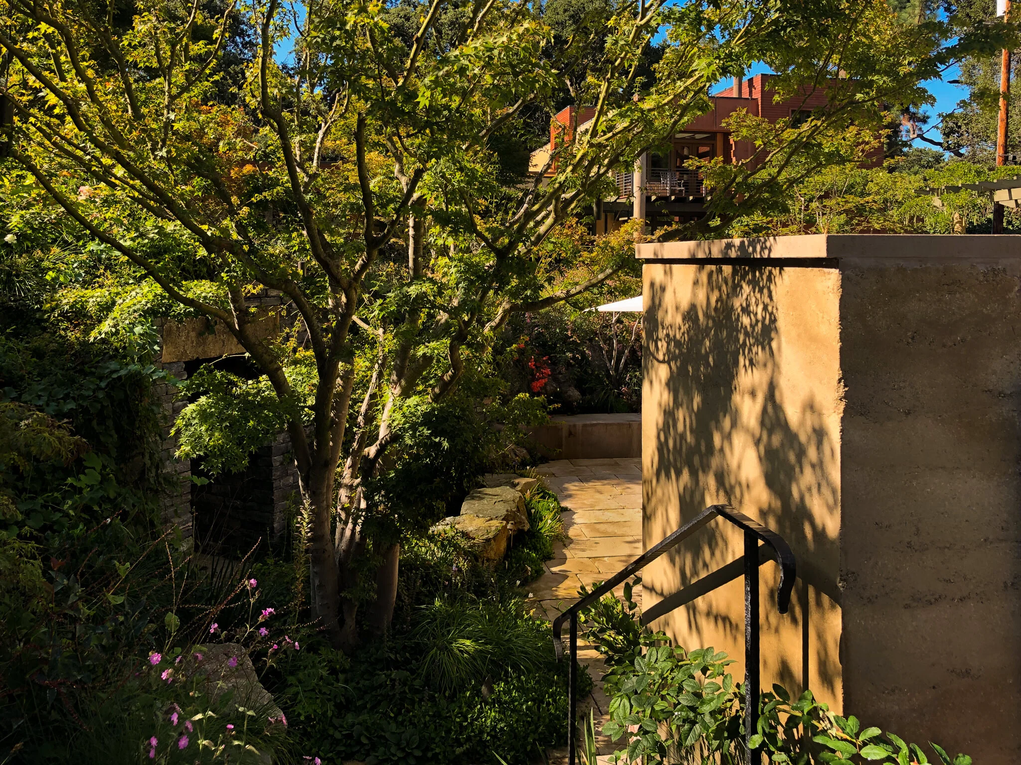 wine cellar entrance and rammed earth wall