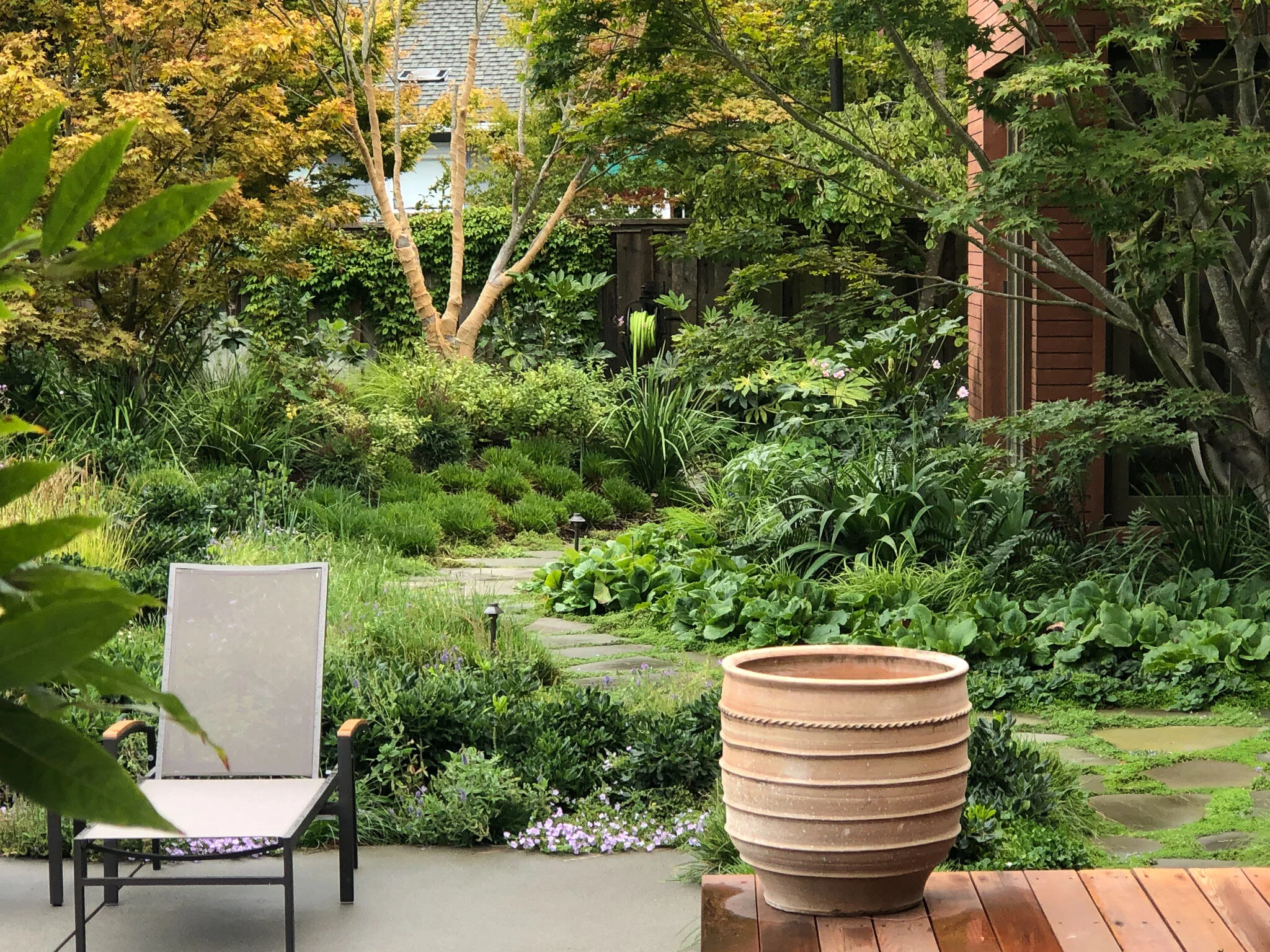 shade plantings