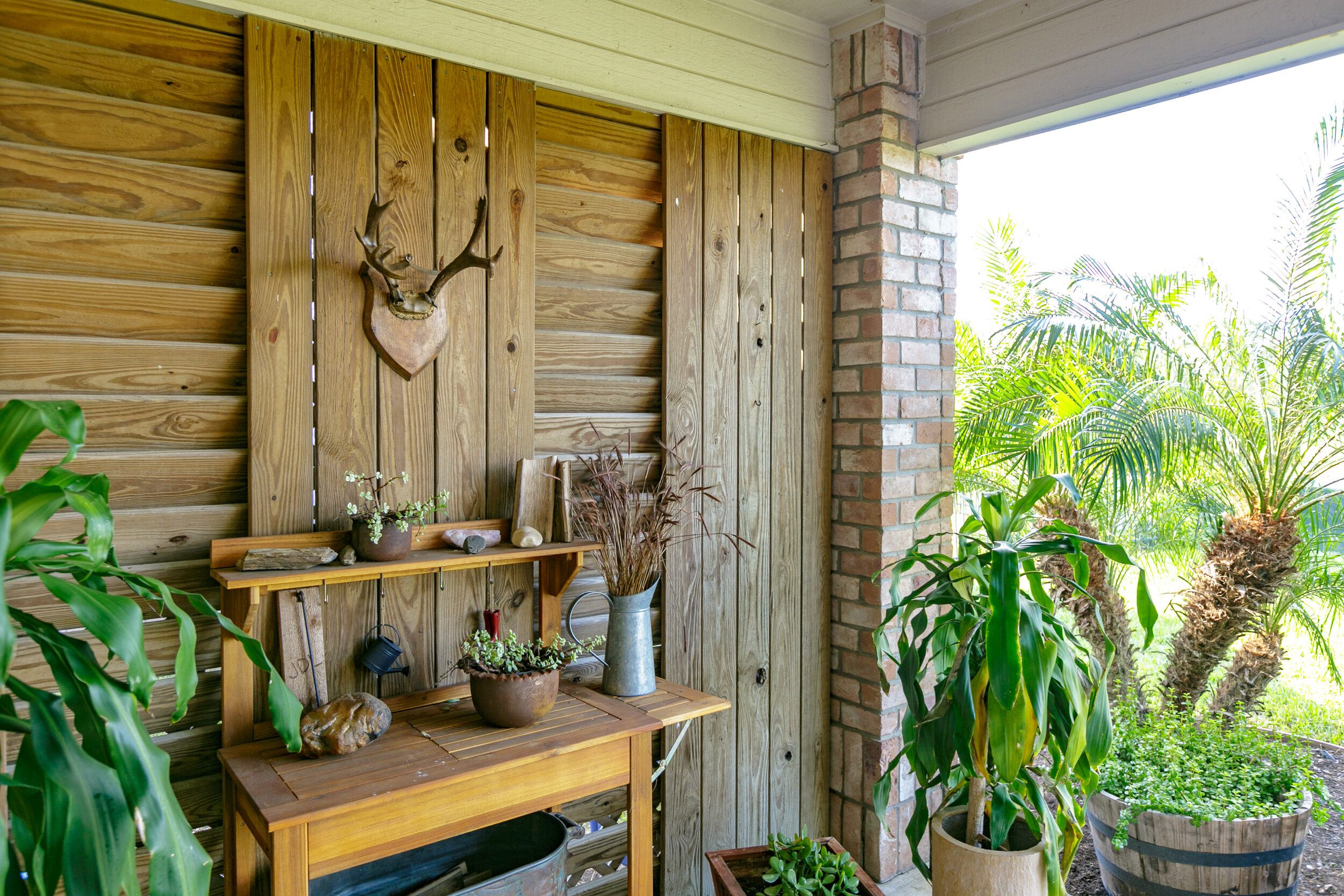Porch area with wooden wall, a mounted deer head, houseplants, and a garden view with palm trees.