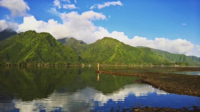 Reflecting on yourself
From Mountains to Ocean
#nature #teahupoo #ahiotomoua #airbnb #mountains #ocean #wildlife