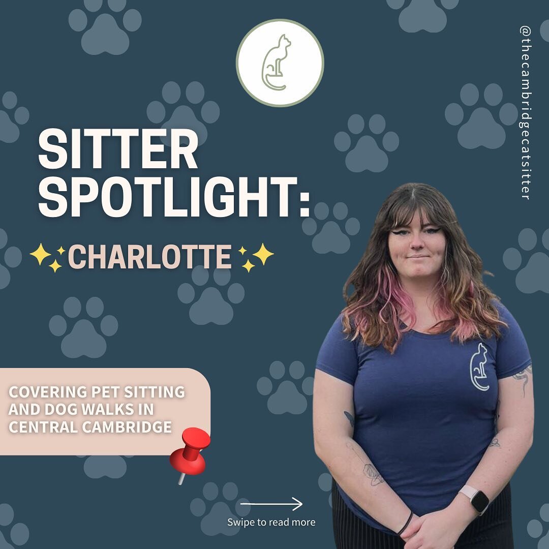 Our lovely Charlotte has been carrying out her first visits and walks this week, so what better time than to shine the spotlight on her! 🐾 she makes a fabulous addition to The Cambridge Catsitter team 💕