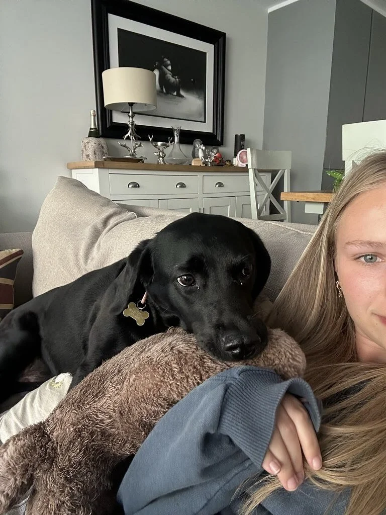 The past few weeks have been full of sofa snuggles, morning routines, and muddy walks.
From short sits to a month-long live-in, we&rsquo;ve loved every moment of keeping these lovely dogs company 💕