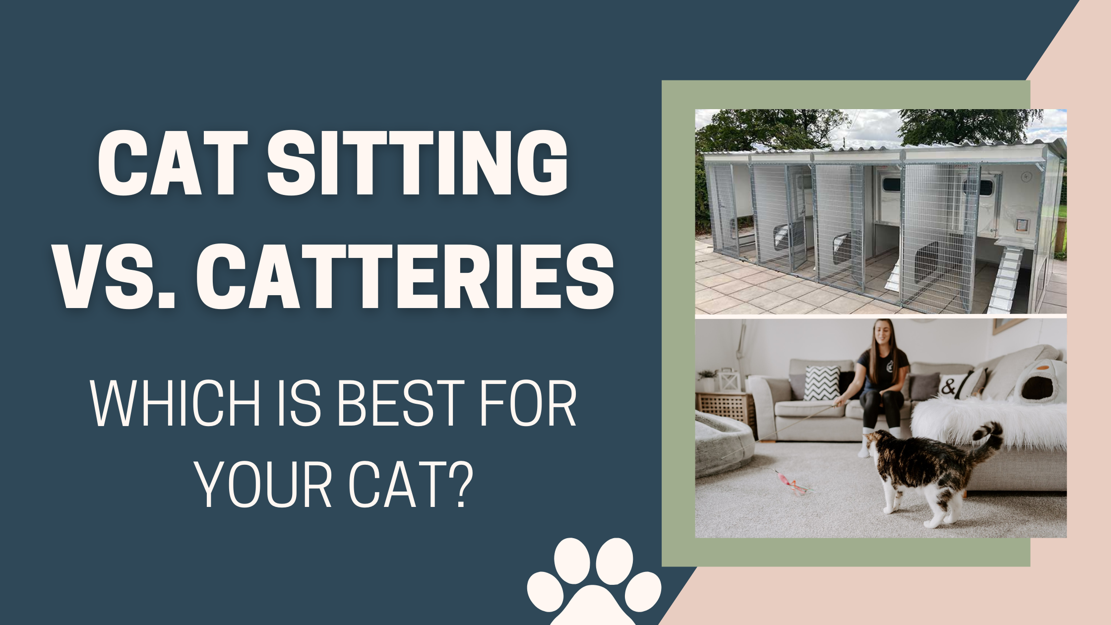 Cat Sitting vs. Catteries: Which Is Best for Your Cat?
