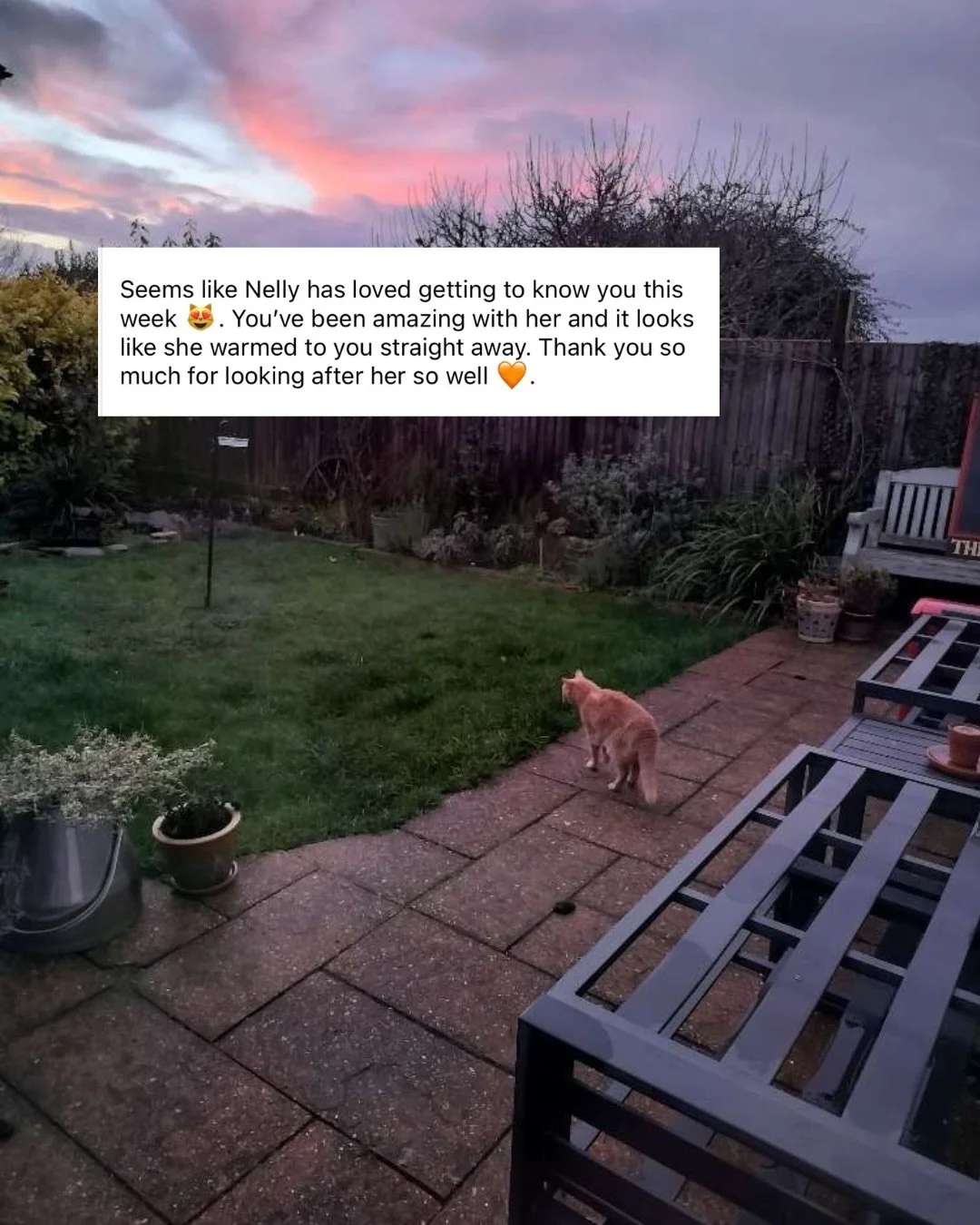 Appreciation post for Lucy 💛

Trusted across Cambridge, Royston, Saffron Walden &amp; surrounding areas for a reason&hellip;

Kind. Reliable. Calm.

And very loved by her clients 🐾