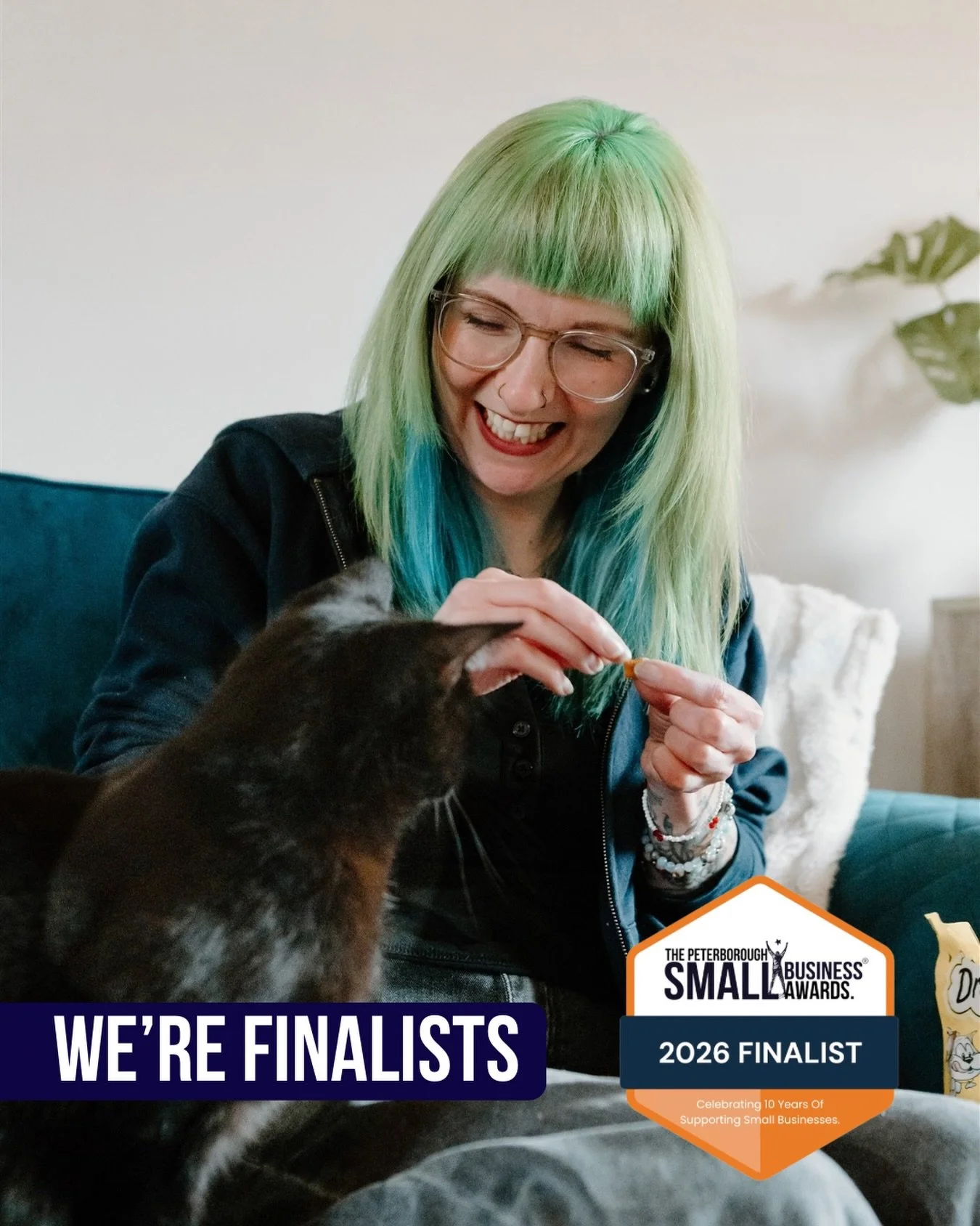 We&rsquo;re really pleased to share that The Stamford Catsitter has been shortlisted as finalists in the 2026 Peterborough Small Business Awards! 🐾 🏆 

What started in 2019 as a small solo petsitting business has grown into a team of 50 wonderful s