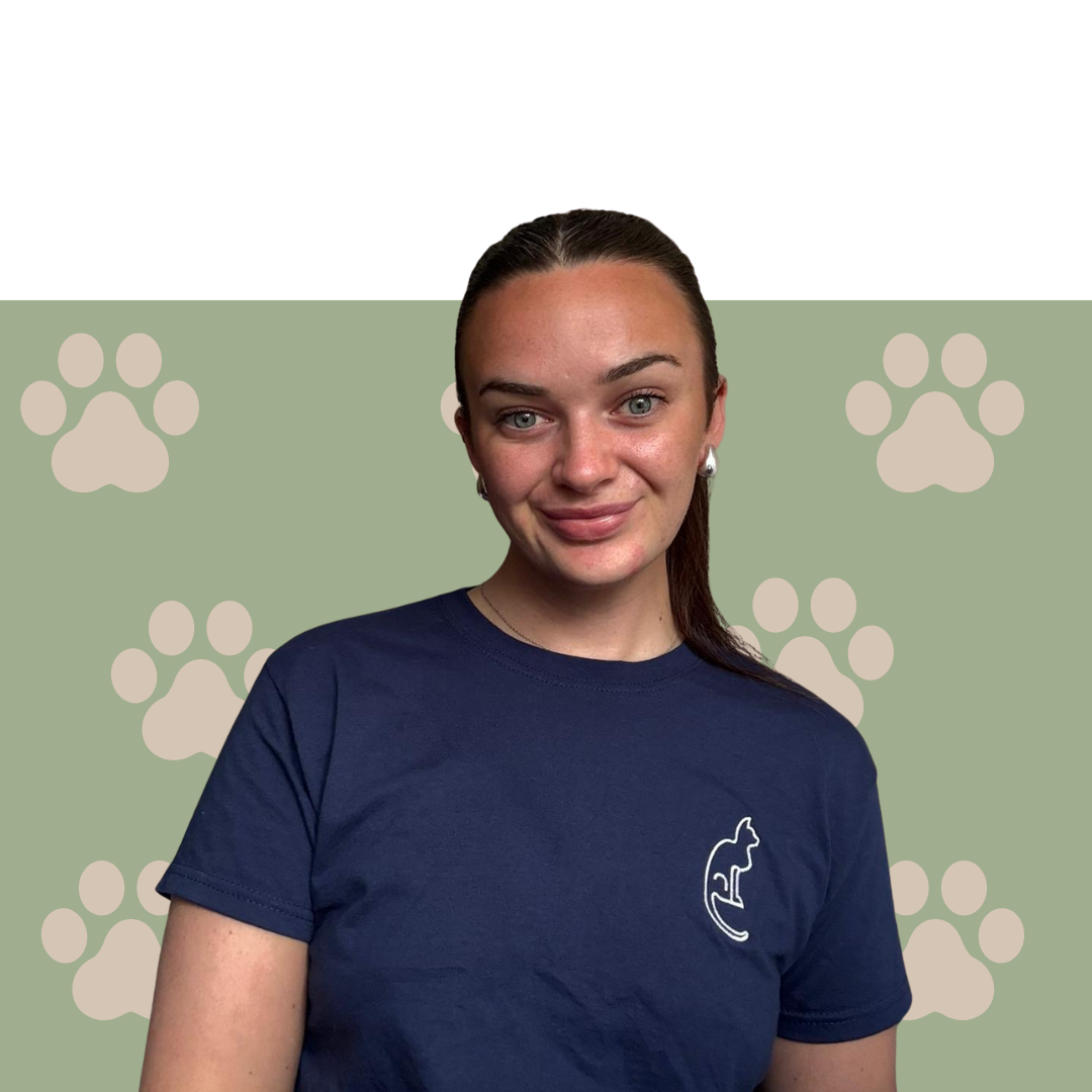 sofie pet sitter for bourne