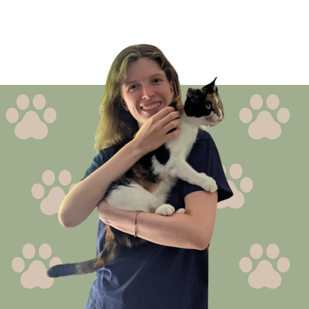 Isla pet sitter