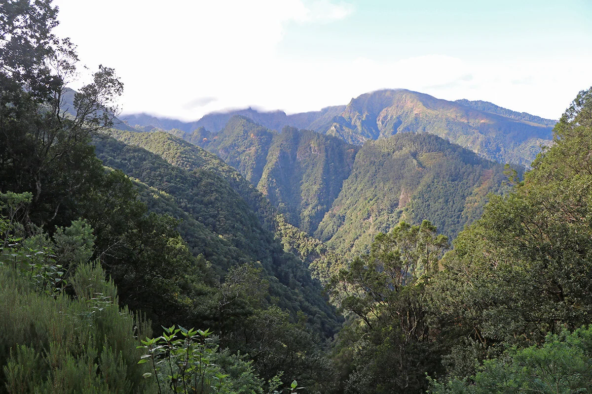 The view back towards the high peaks