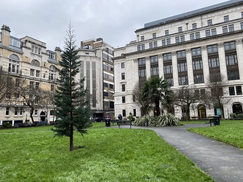 Parsonage Gardens and the Manchester bombs we forgot about