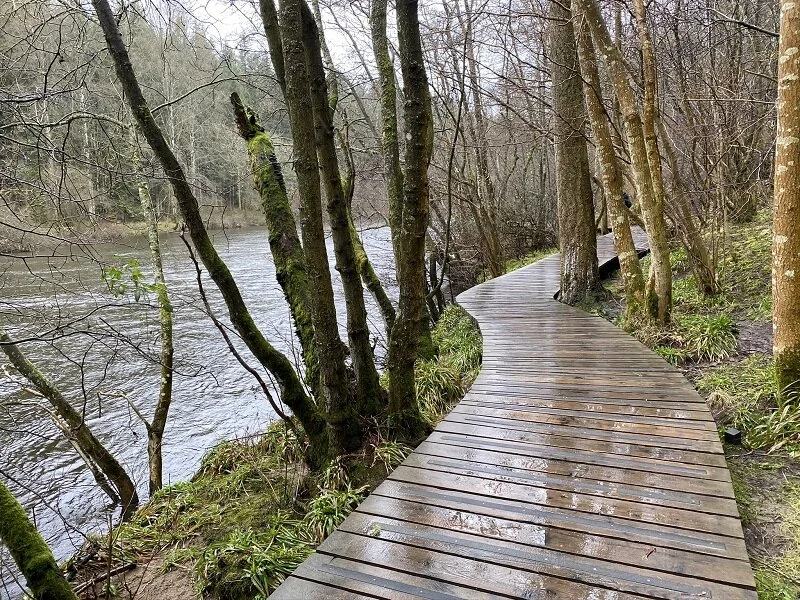 Clyde boardwalk