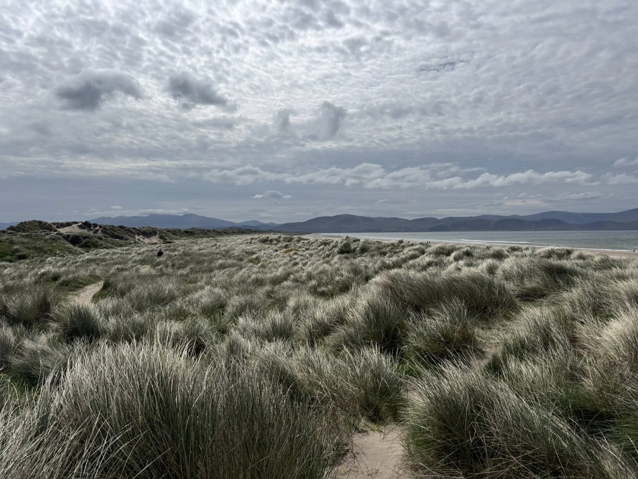 Inch Beach sand dunes
