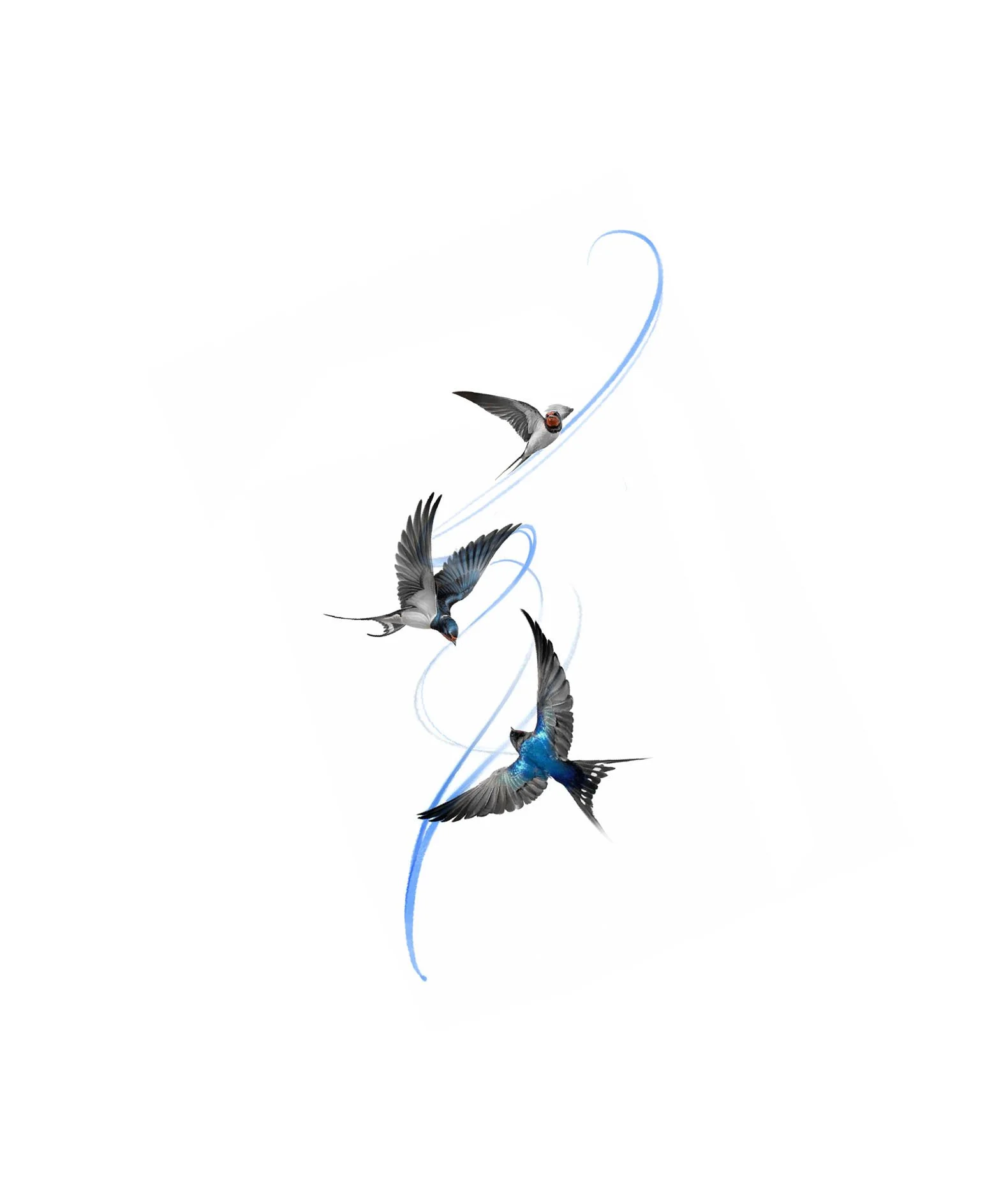 SWALLOWS