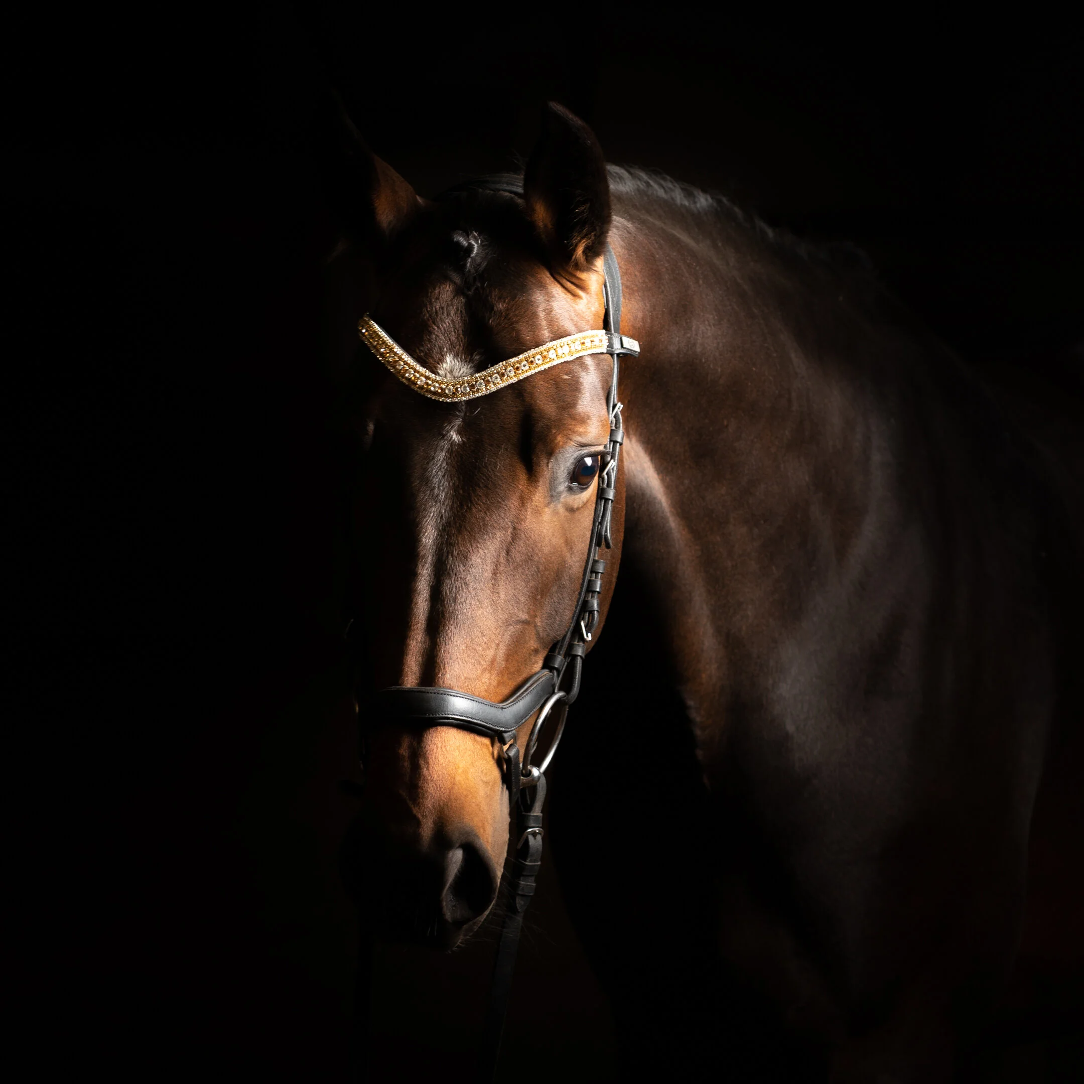 Weil Arbeit verbindet