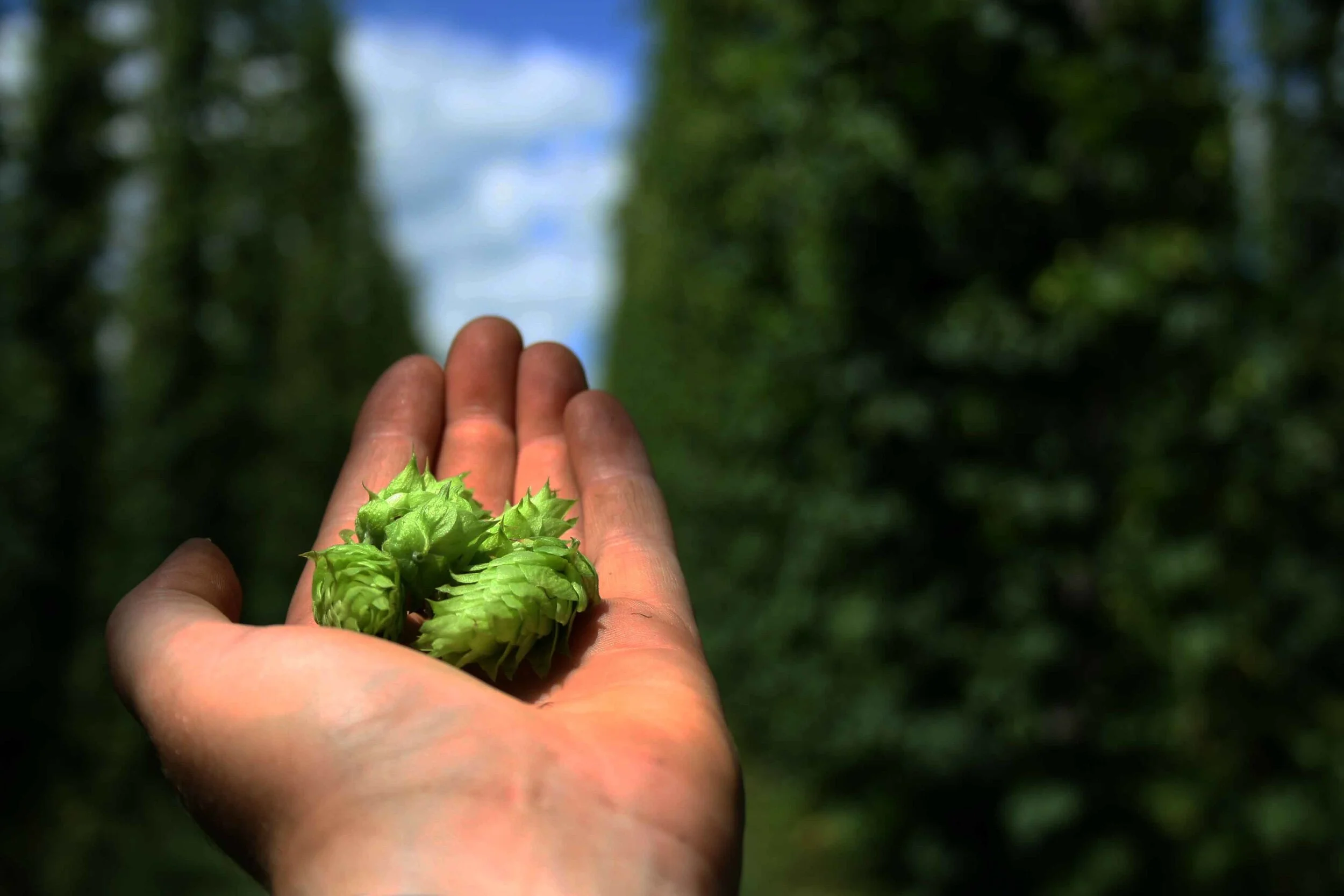 FD4615AE-1014-4F63-9D98-E58F73A01DB4