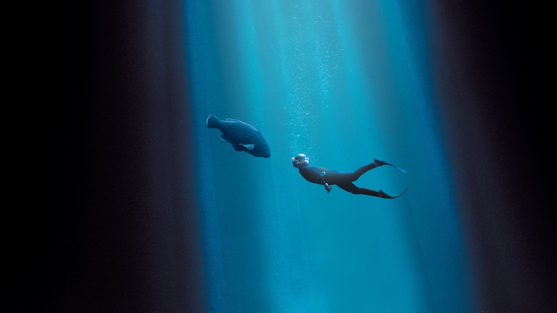 Sundance 2023: Blueback
